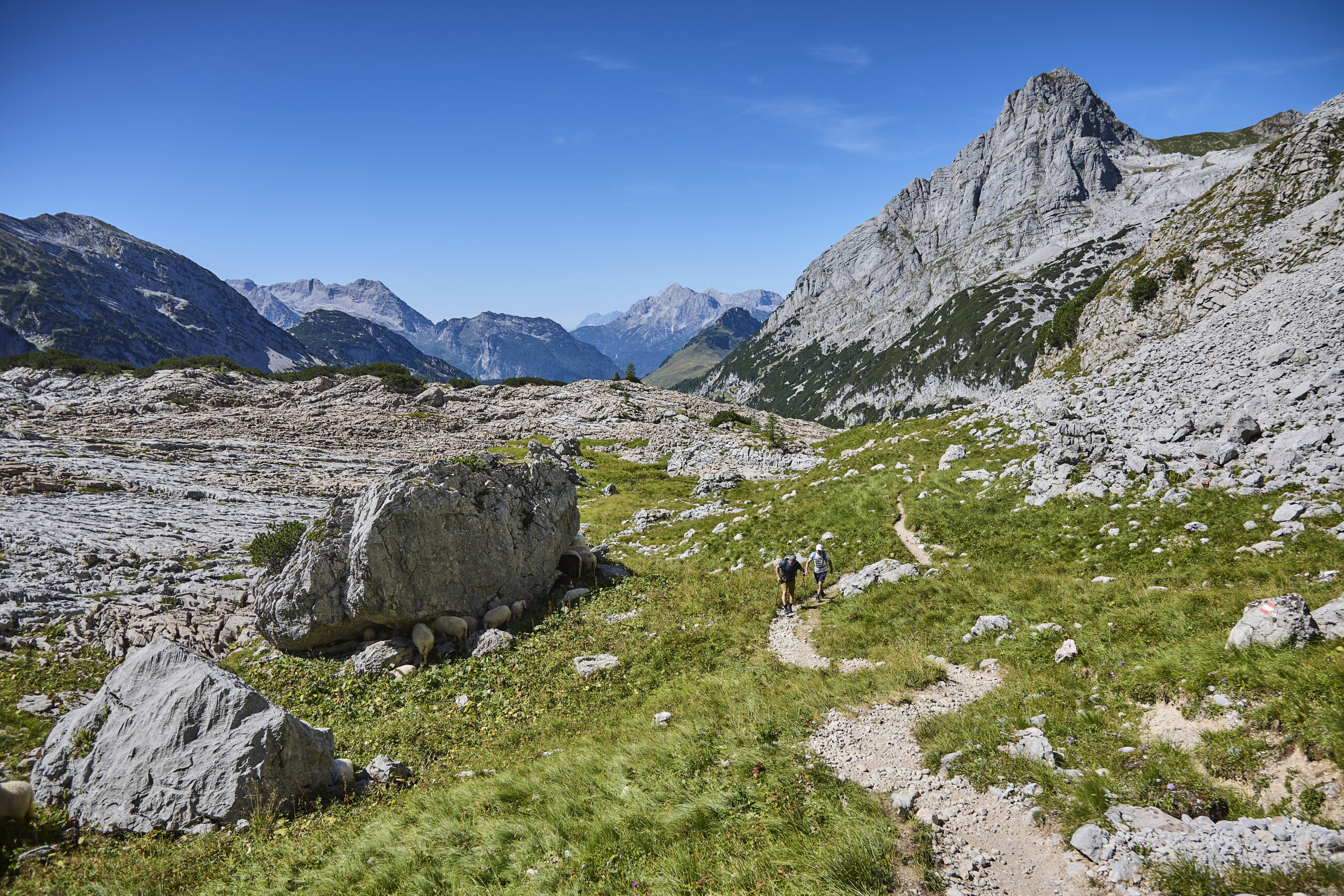 © Daniel Roos Fotografie Von den grünen Almflächen hinauf in die Felsregion. 