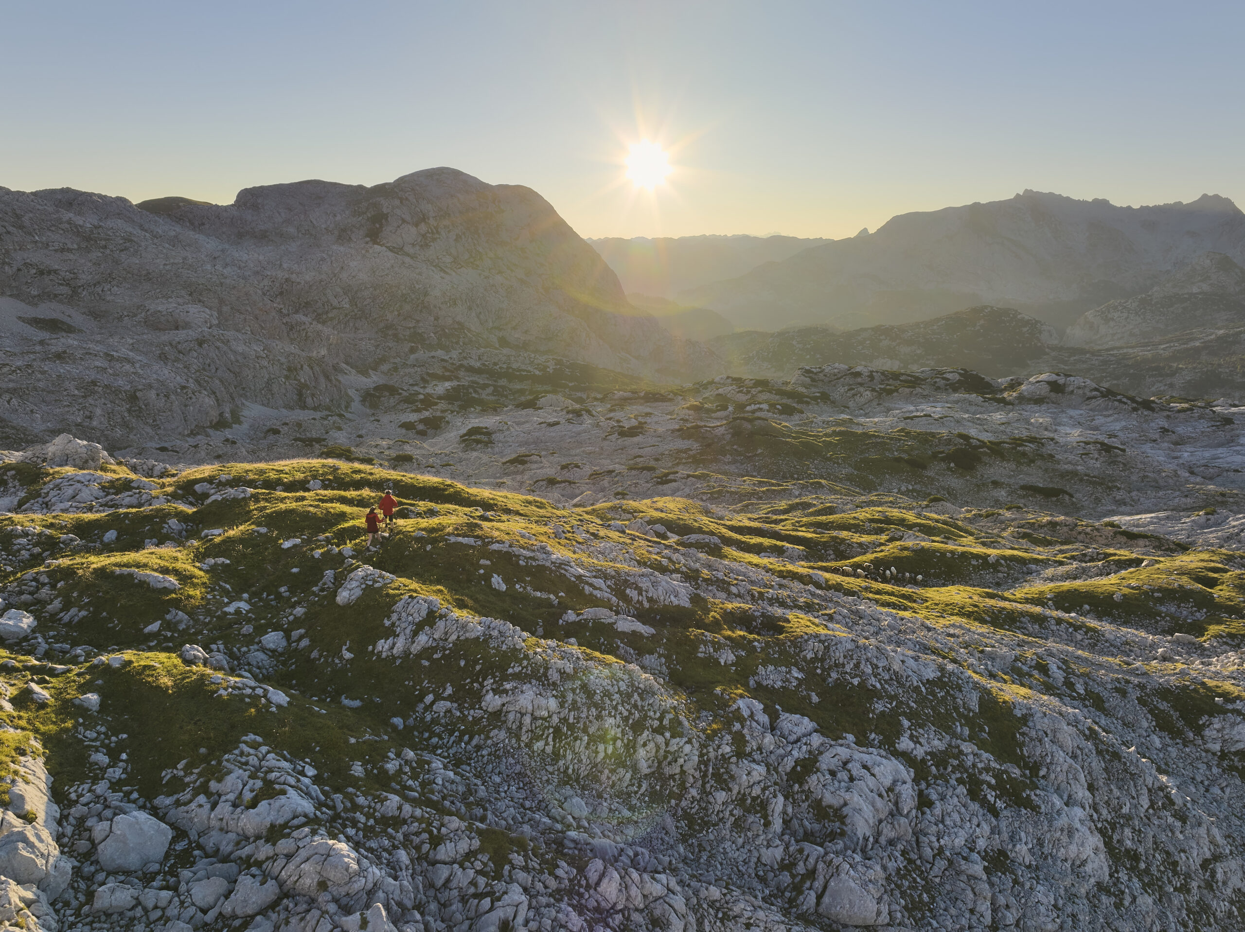 © Daniel Roos Fotografie Auch ein paar Schafe nutzen das Grün am Plateau für ein Frühstück. 