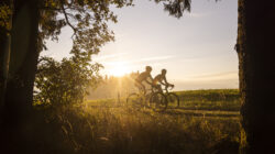 Zwei Personen fahren bei Sonnenuntergang mit dem Fahrrad auf einem Grasweg - wie bei einem Gravelbike-Rennen im SalzburgerLand.
