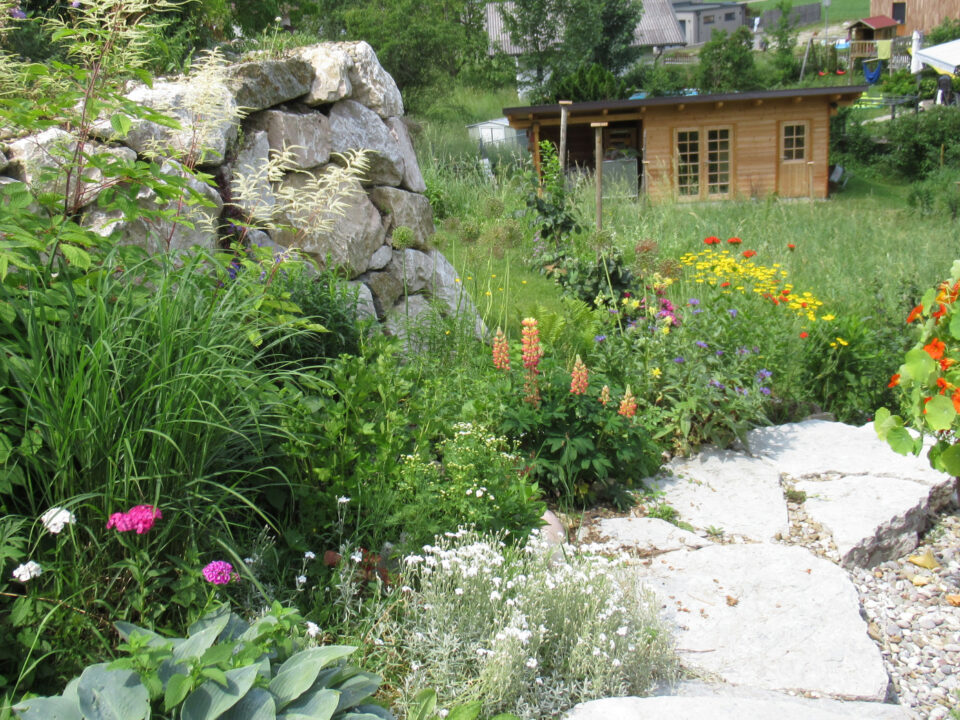 Steinweg durch einen üppigen Garten mit bunten Blumen, großen Steinen und einem Holzschuppen im Hintergrund.