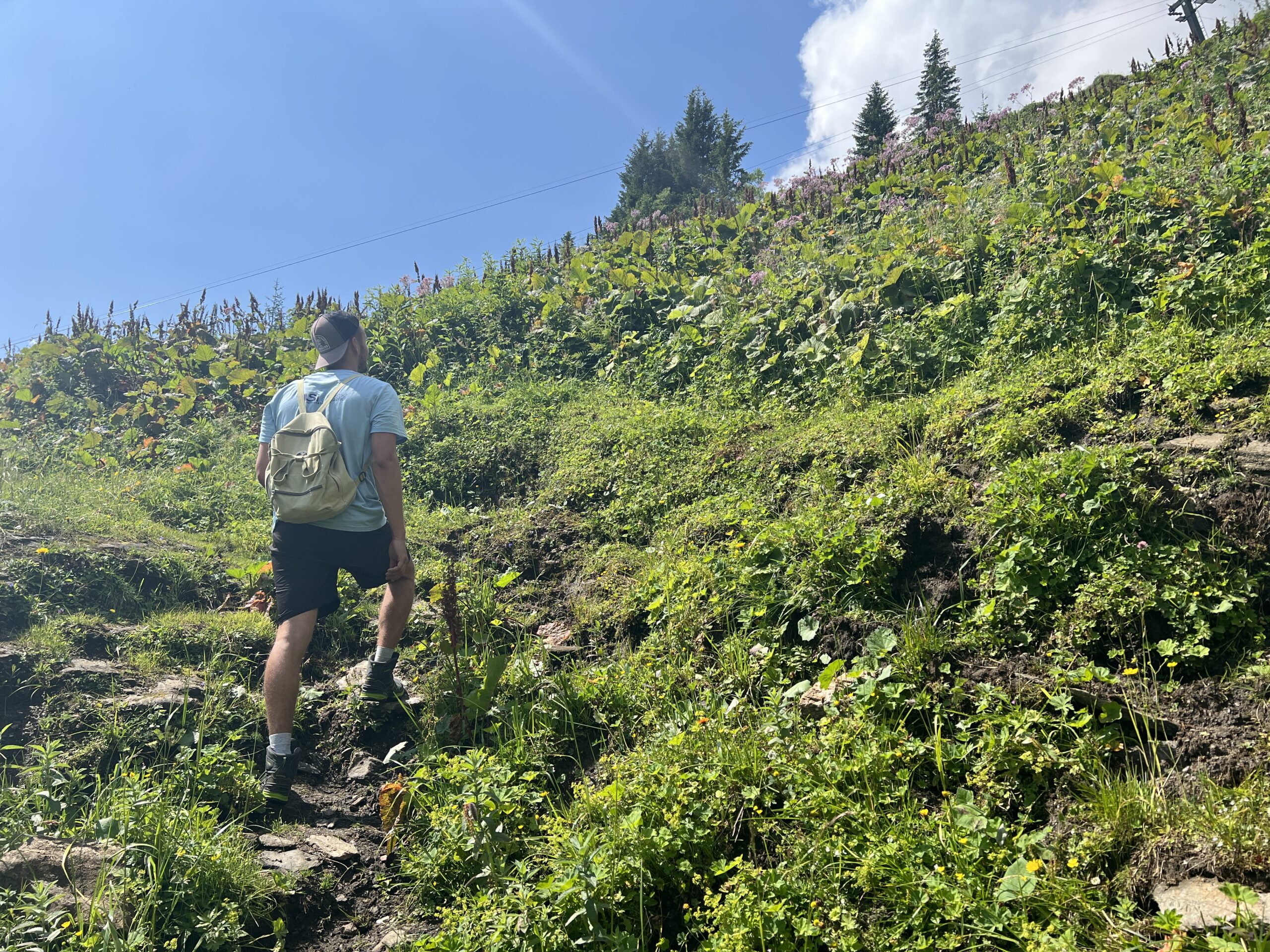 Über Almmatten auf die Hochalm wandern.