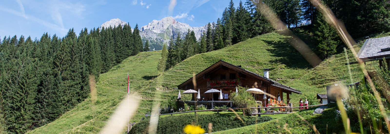 Die Mußbachalm in der Region Hochkönig