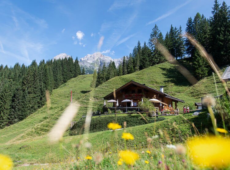 Die Mußbachalm in der Region Hochkönig