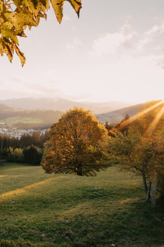cropped-2020_Landschaft_Herbst_©Christian-Schartner-174-scaled-1.jpg