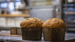 Zwei runde Panettone aus selbstgemachtem Sauerteig aus Salzburg sitzen in dekorativen Formen auf einer Bäckertheke.