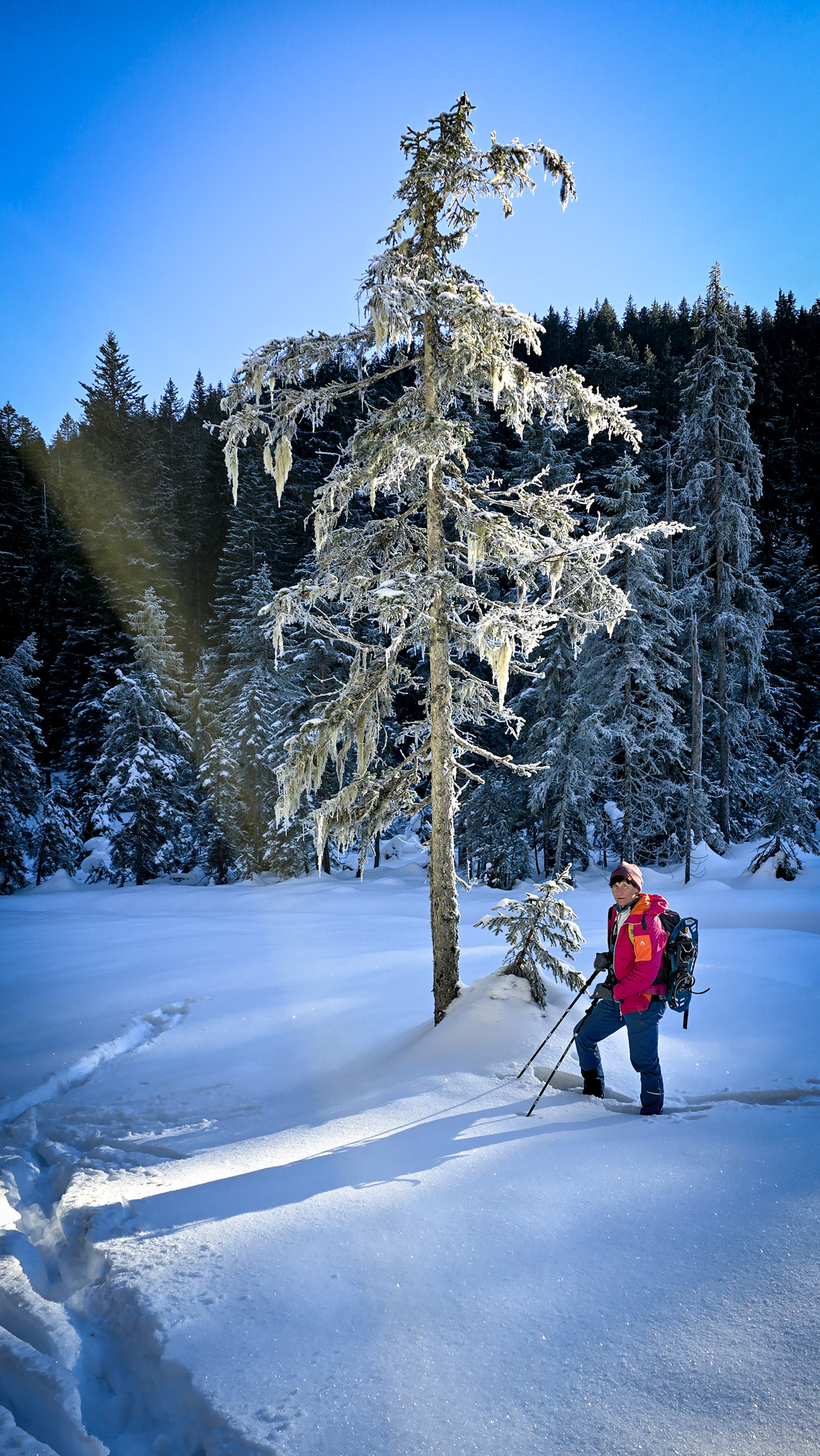 Winter im Heutal © Melanie Deisl