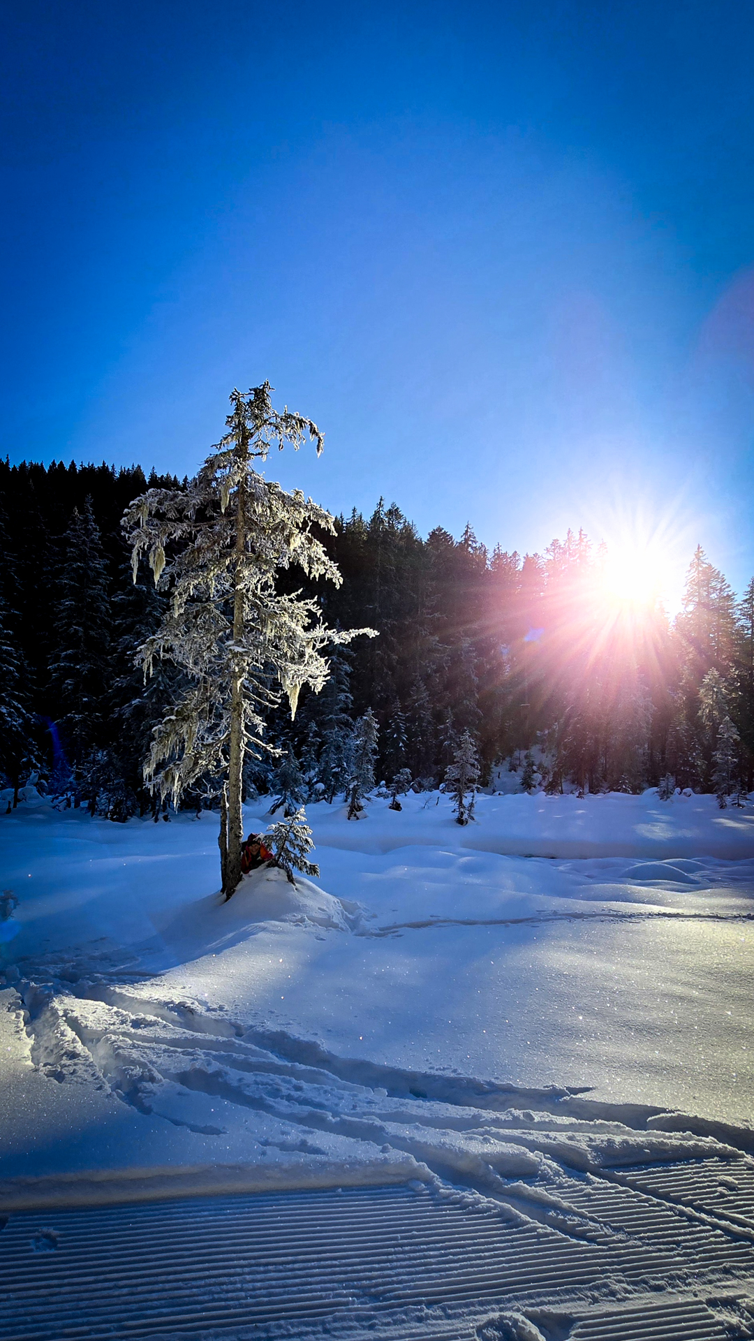 Winterwonderland Heutal © Melanie Deisl