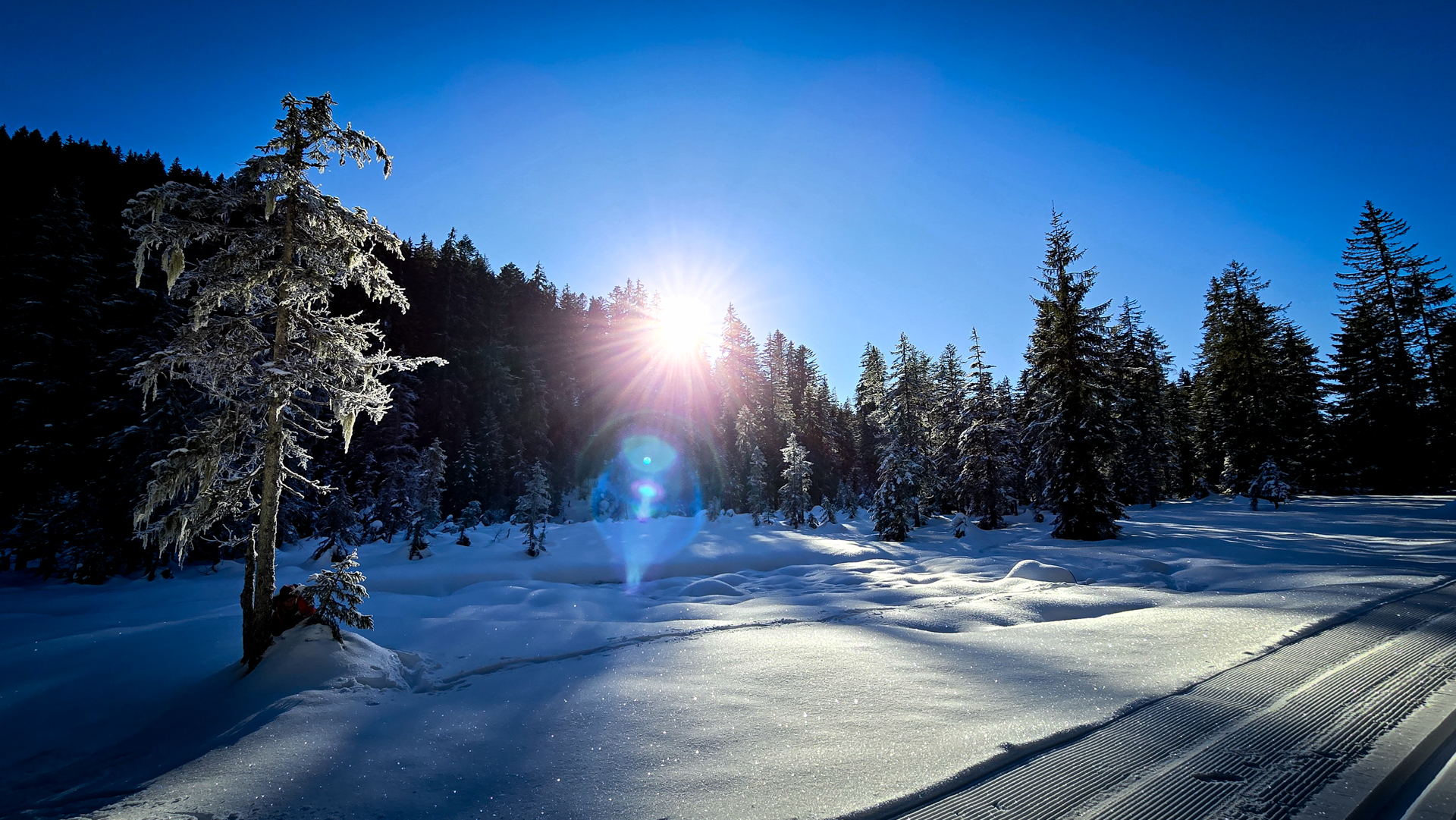 Schneeschuhwandern Heutal © Melanie Deisl