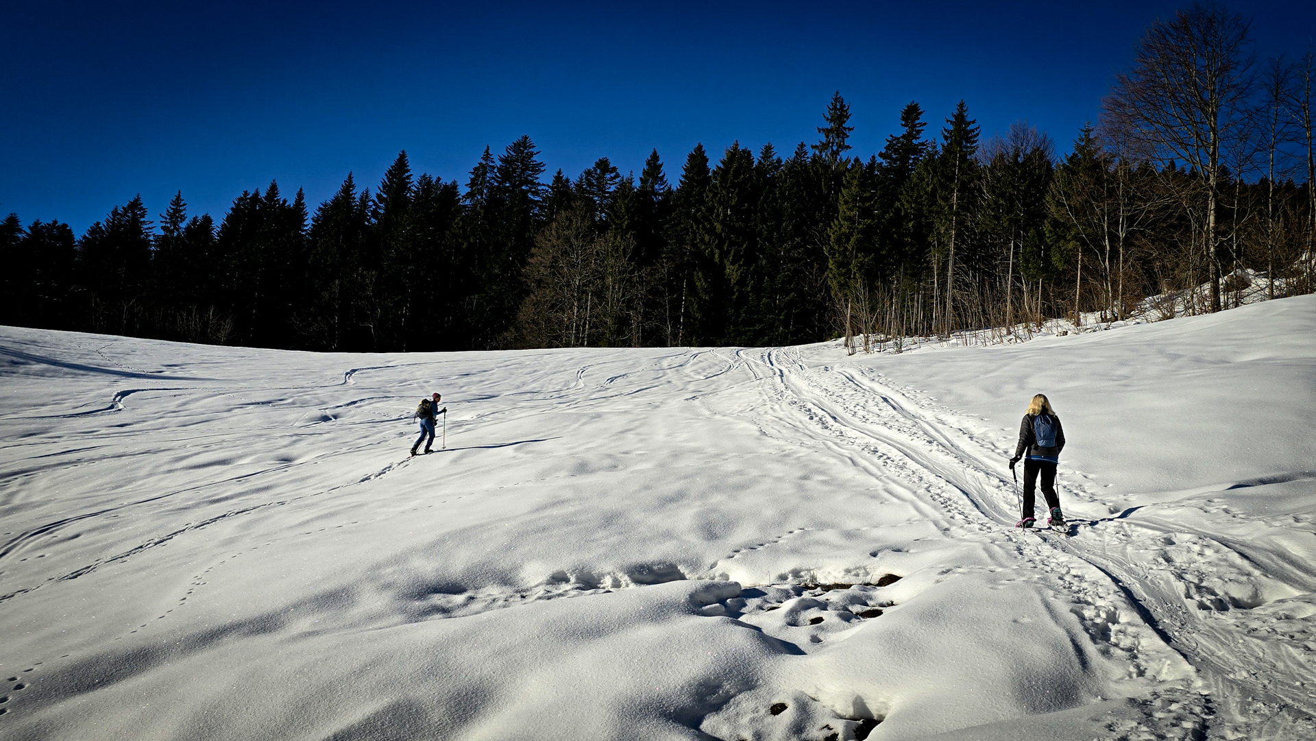 Schöner Aufstieg © Melanie Deisl