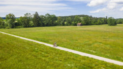 Zwei Personen fahren mit dem Fahrrad auf einem Weg, Mit dem Gravelbike durch das Salzburger Seenland, vorbei an Bäumen und einem kleinen Schuppen.