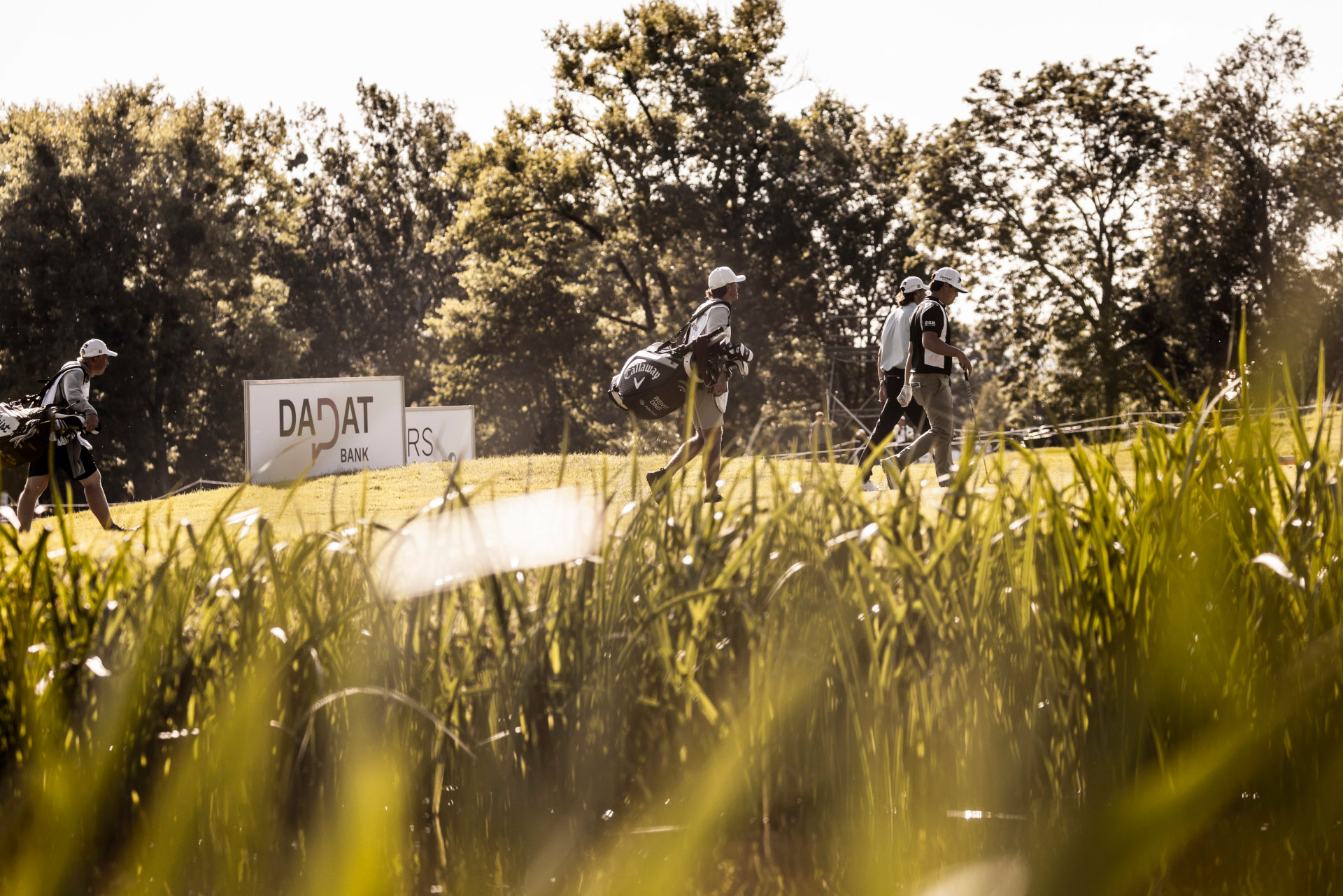 Morgenstimmung bei den Austrian Alpine Open ©Jan Hetfleisch