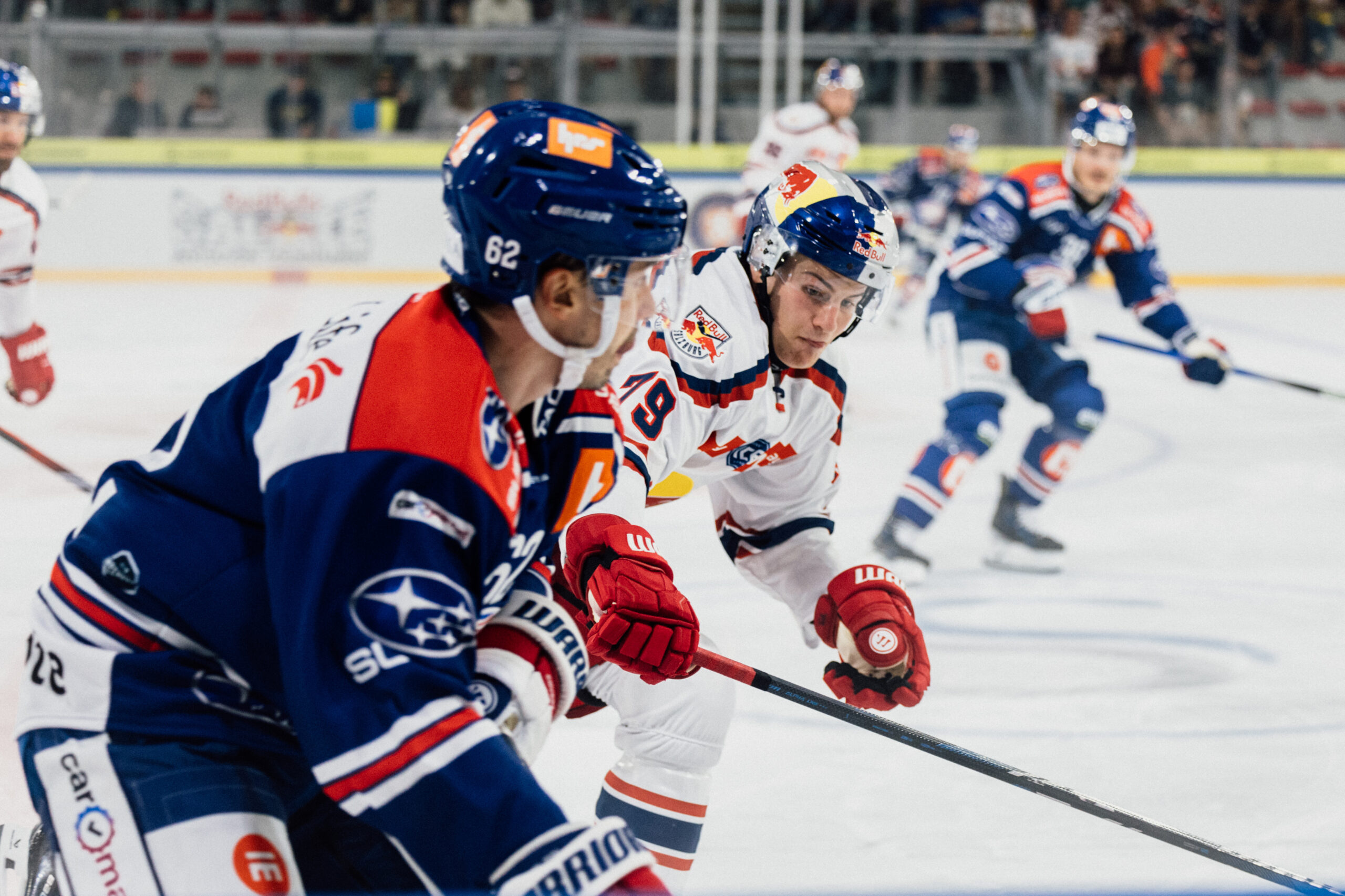 © ECRBS/Karpaviciute