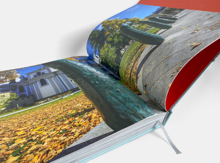 Das aufgeschlagene Buch zeigt den Furtwänglerpark im Herbst