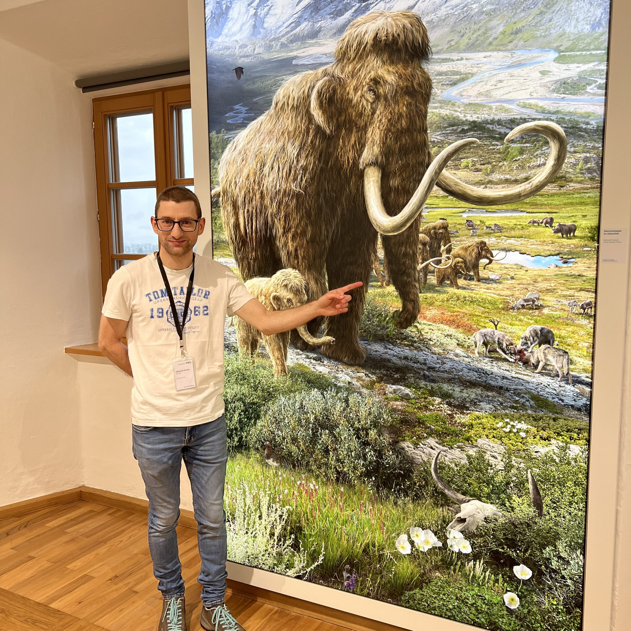 Das Wollmammut lebte in der Kältesteppe