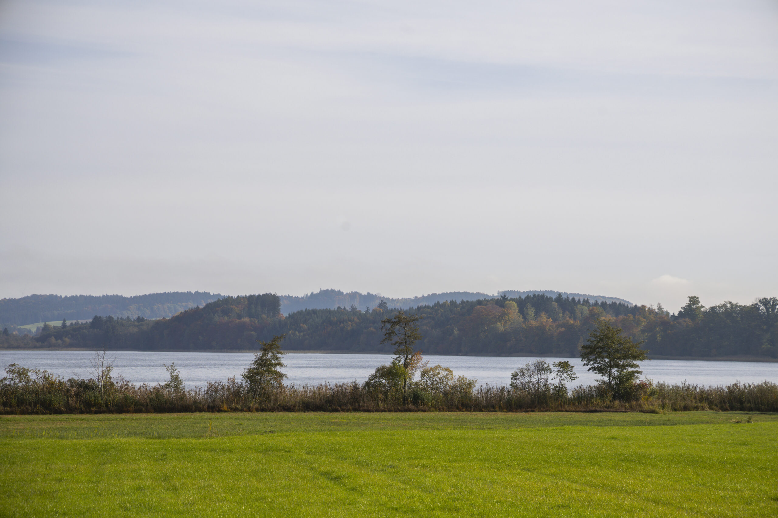 Ein ruhiger See mit Bäumen und Hügeln, ideal für die Wanderung um den Grabensee im unberührten Seenland.