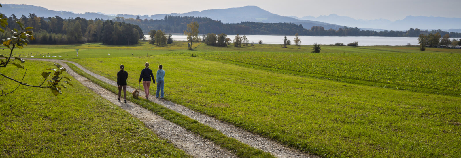 Drei Personen gehen auf einem Schotterweg, die Wanderung um den Grabensee besticht durch faszinierende Landschaften.