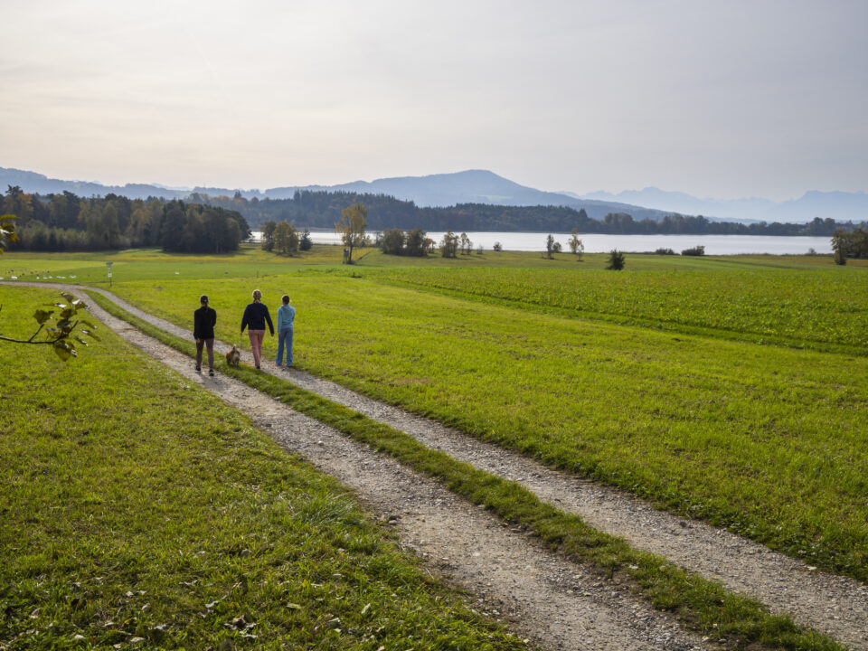Drei Personen gehen auf einem Schotterweg, die Wanderung um den Grabensee besticht durch faszinierende Landschaften.