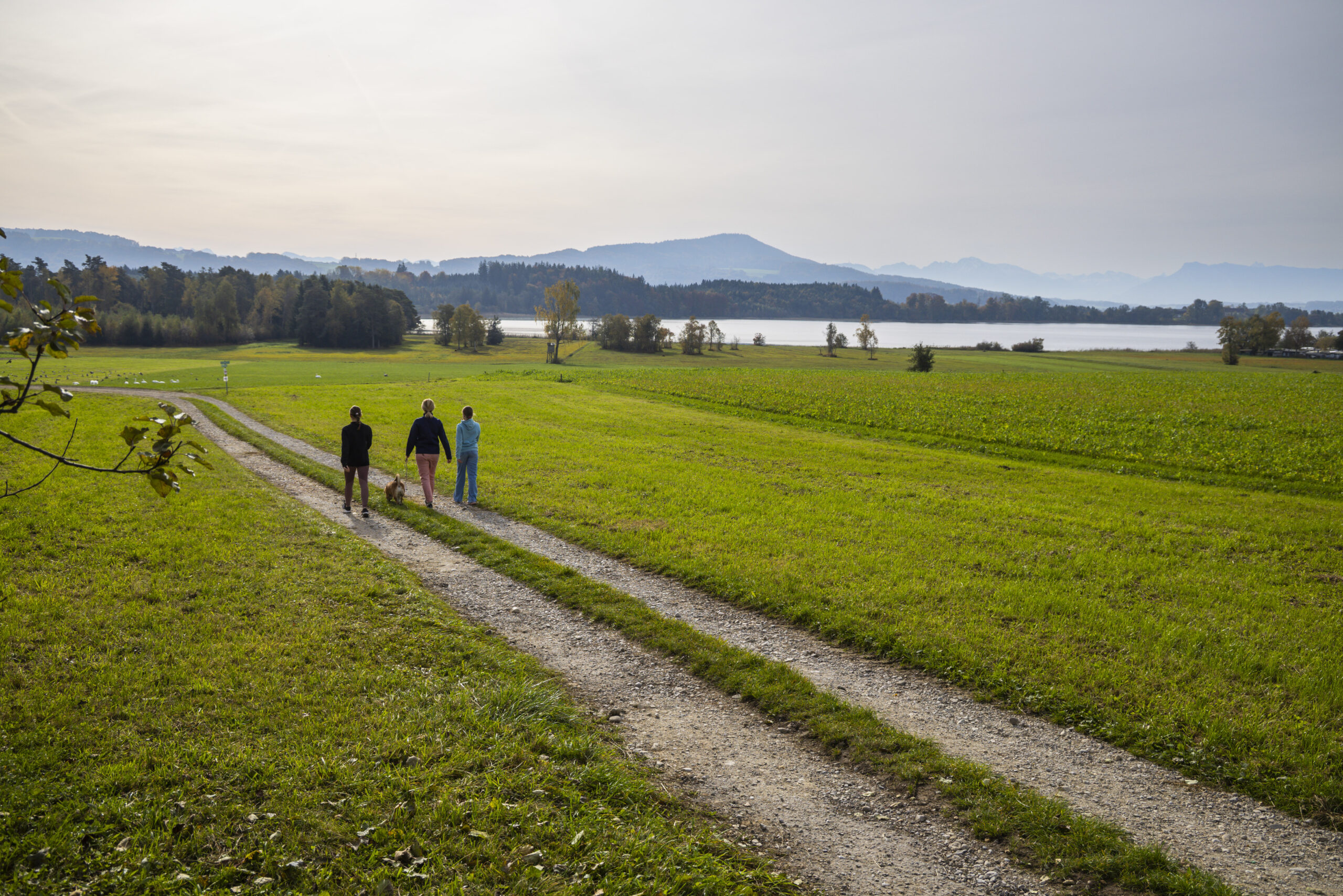 Drei Personen gehen auf einem Schotterweg, die Wanderung um den Grabensee besticht durch faszinierende Landschaften.