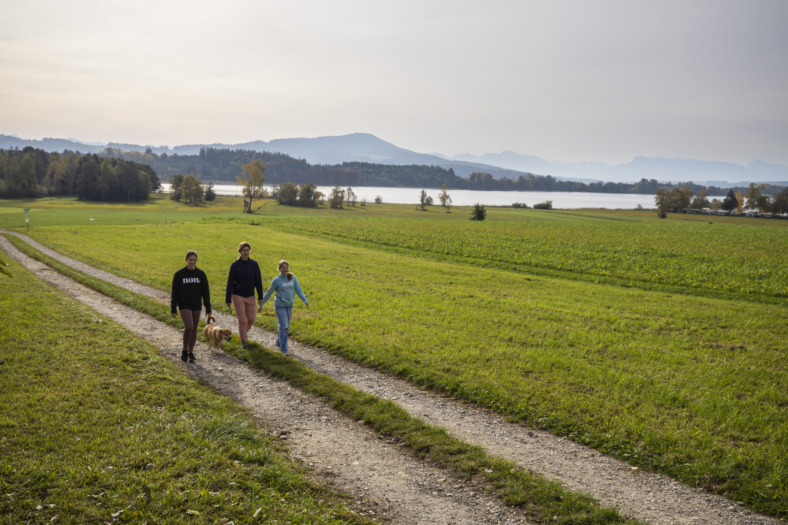 Drei Personen und ein Hund wandern auf einem Feldweg bei Grabensee, besticht durch faszinierende Landschaften und unberührte Natur.
