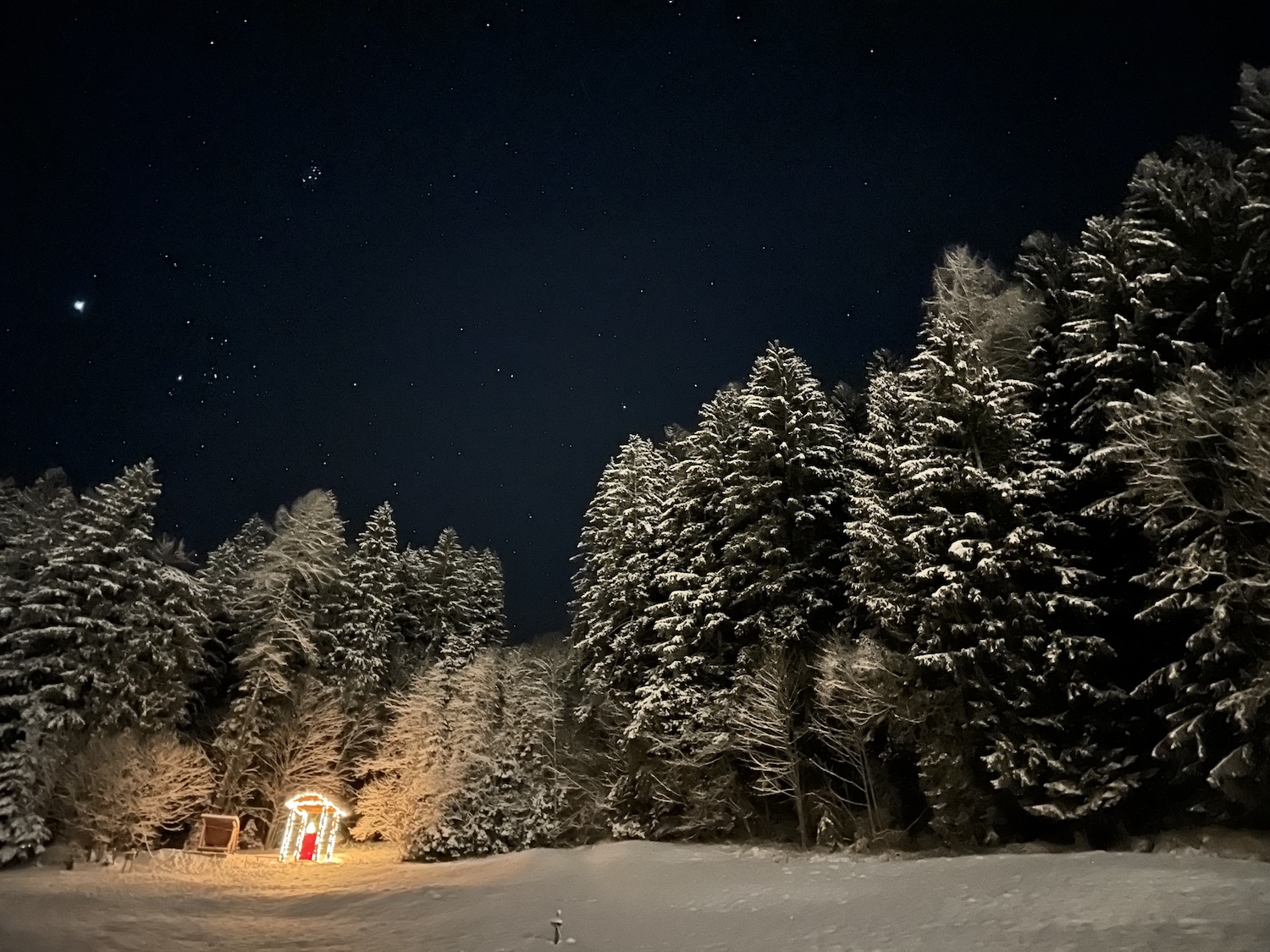 Ein verschneiter Wald bei Nacht auf dem Laternenweg Bramberg, die Krippe leuchtet unter dem Sternenhimmel.