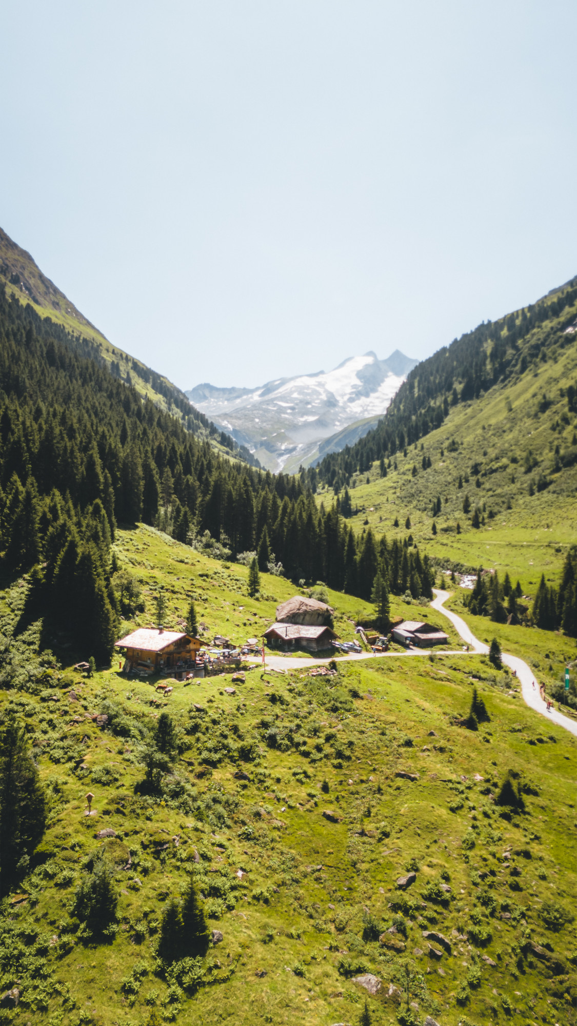 Bergh&uuml;tten an einem gr&uuml;nen Hang mit Kiefern und schneebedeckten Bergen in der Ferne unter einem klaren Himmel.