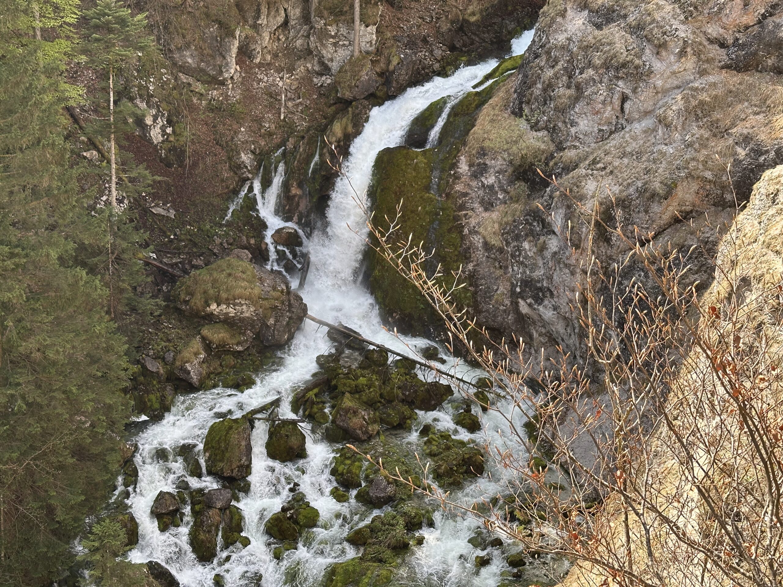 IMG_6366