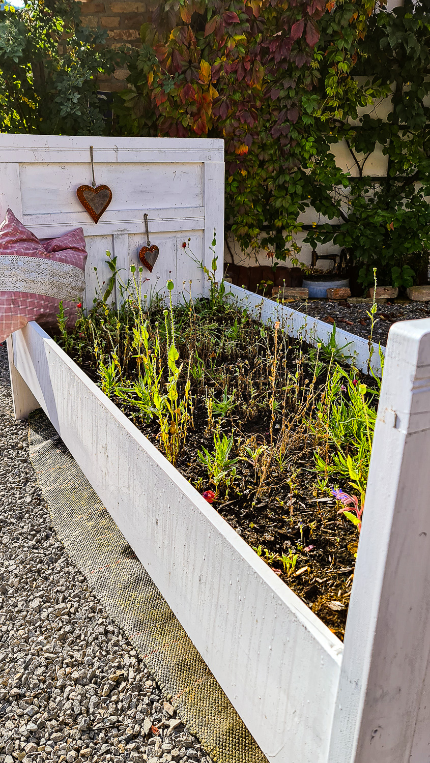 Wei&szlig;er Gartenbeetrahmen, der in Kathis Blumencaf&eacute; als Pflanzgef&auml;&szlig; umfunktioniert wurde, mit jungen Pflanzen und Herzdekorationen.