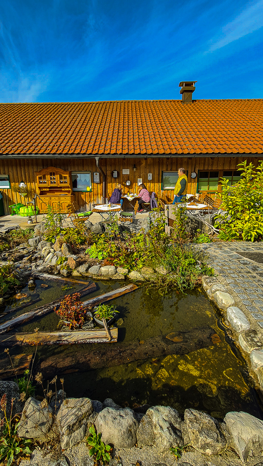 Die Menschen sitzen an Tischen vor Kathis Blumencaf&eacute;, in der N&auml;he eines Teiches mit Steinen und Pflanzen, unter blauem Himmel.