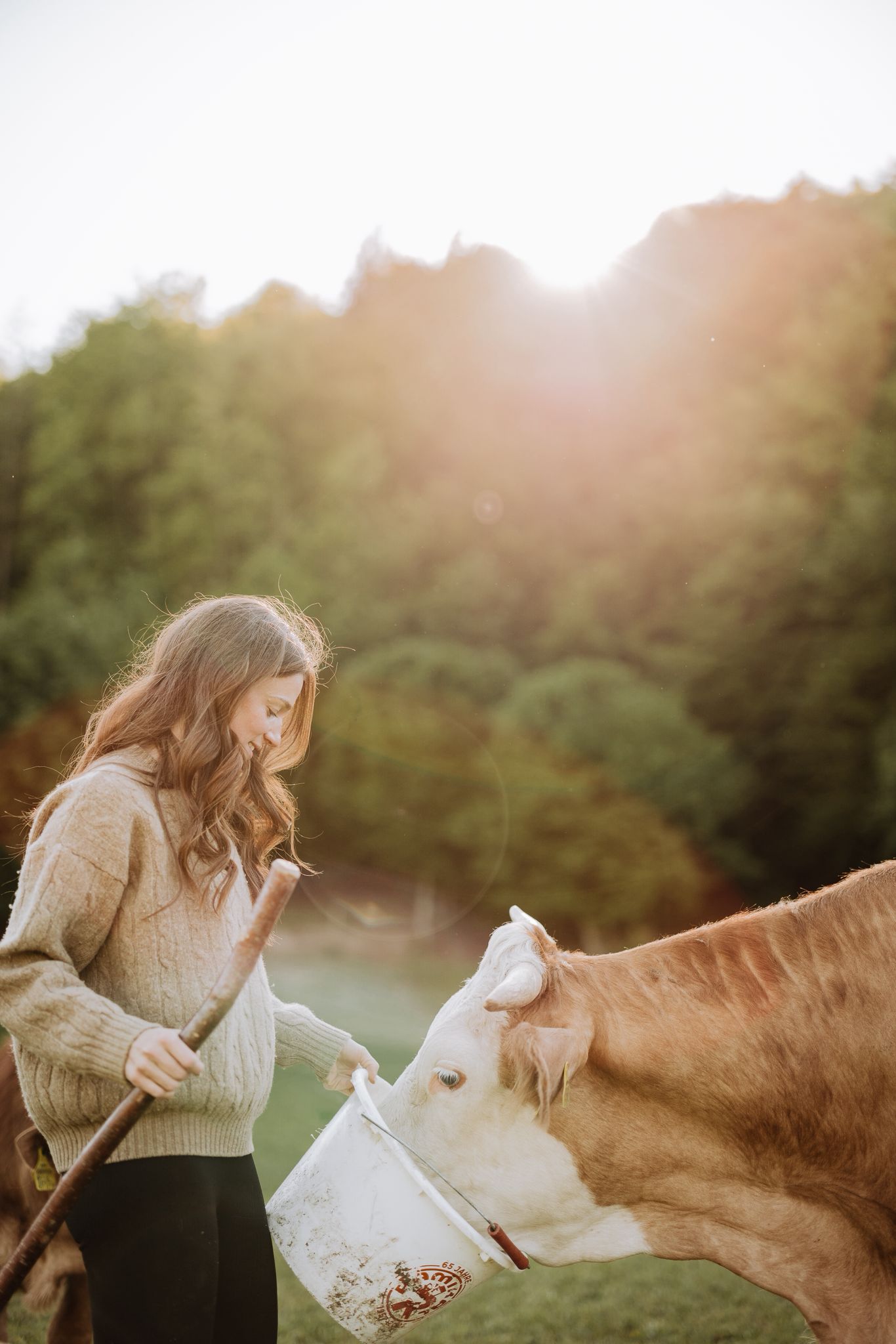 Ein M&auml;dchen f&uuml;ttert eine Kuh aus einem wei&szlig;en Eimer im Freien, w&auml;hrend im Hintergrund die Sonne scheint.