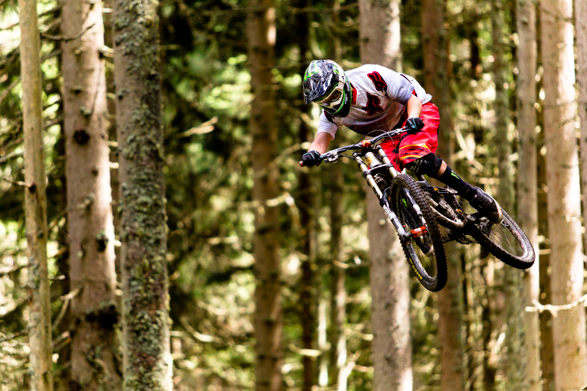 Mountainbiker mit Helm und Ausr&uuml;stung in der Luft, der durch einen dichten Wald f&auml;hrt.