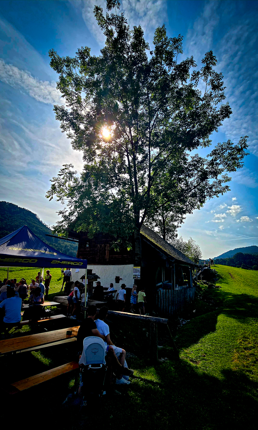 W&auml;hrend des M&uuml;hlenfestes in Ebenau sitzen die Menschen an Picknicktischen unter einem gro&szlig;en Baum auf einer sonnigen, grasbewachsenen Anh&ouml;he.