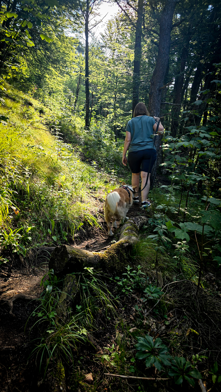 M&uuml;hlenwanderweg Ebenau &copy; Melanie Deisl