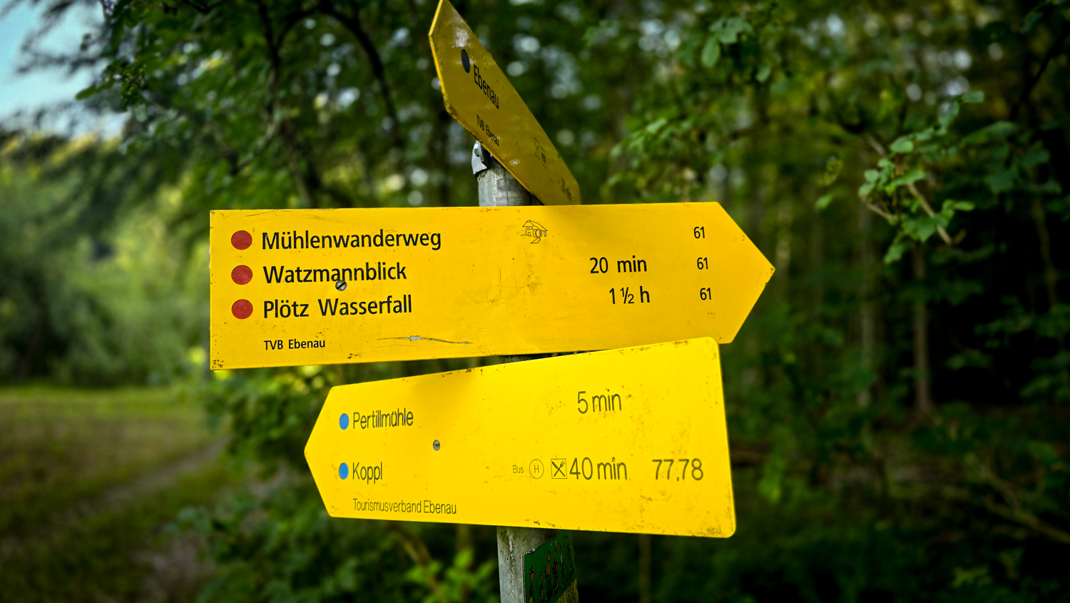 Wanderwegweiser Mühlenwanderweg Ebenau © Melanie Deisl
