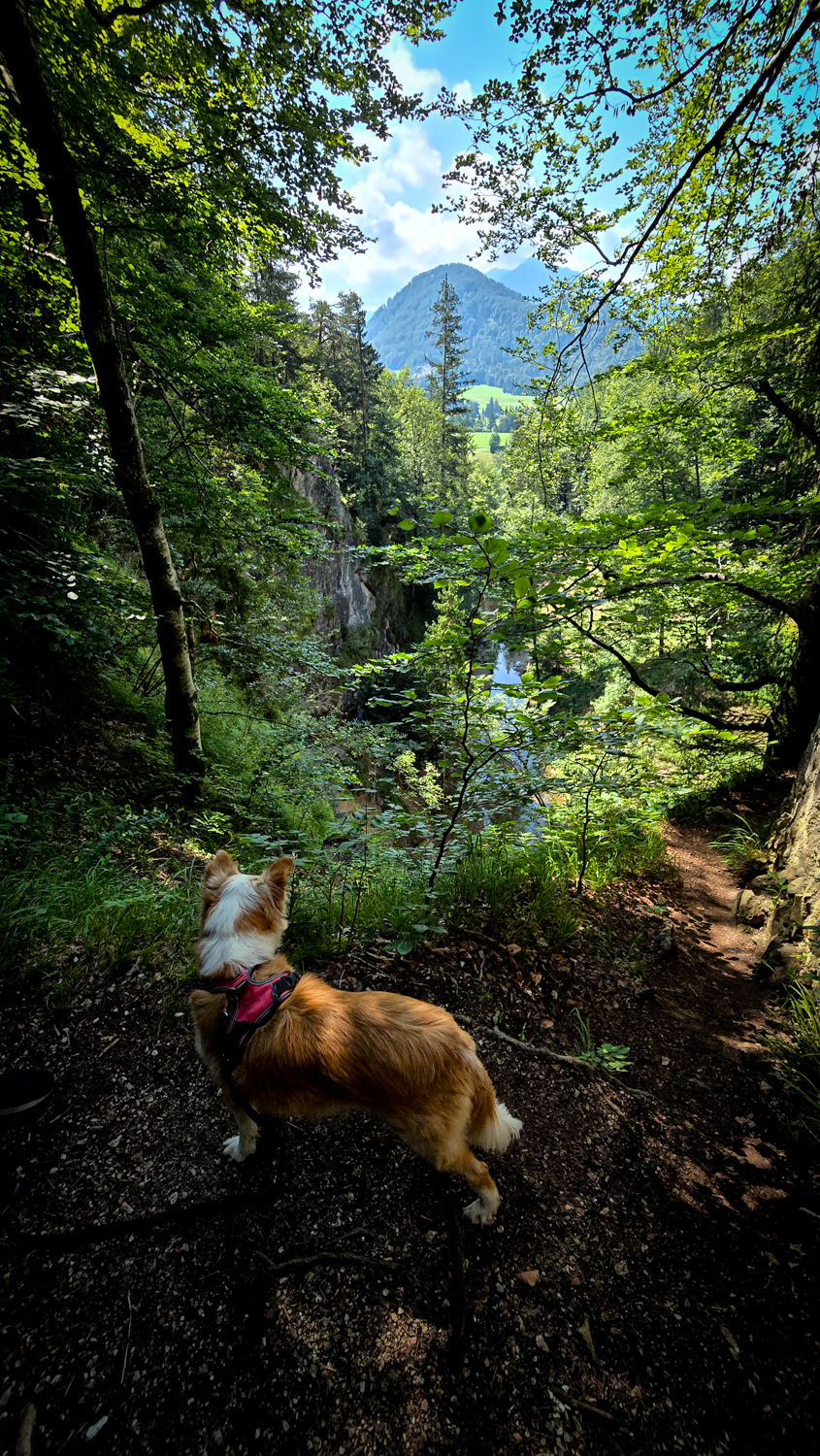 M&uuml;hlenwanderweg Ebenau &copy; Melanie Deisl
