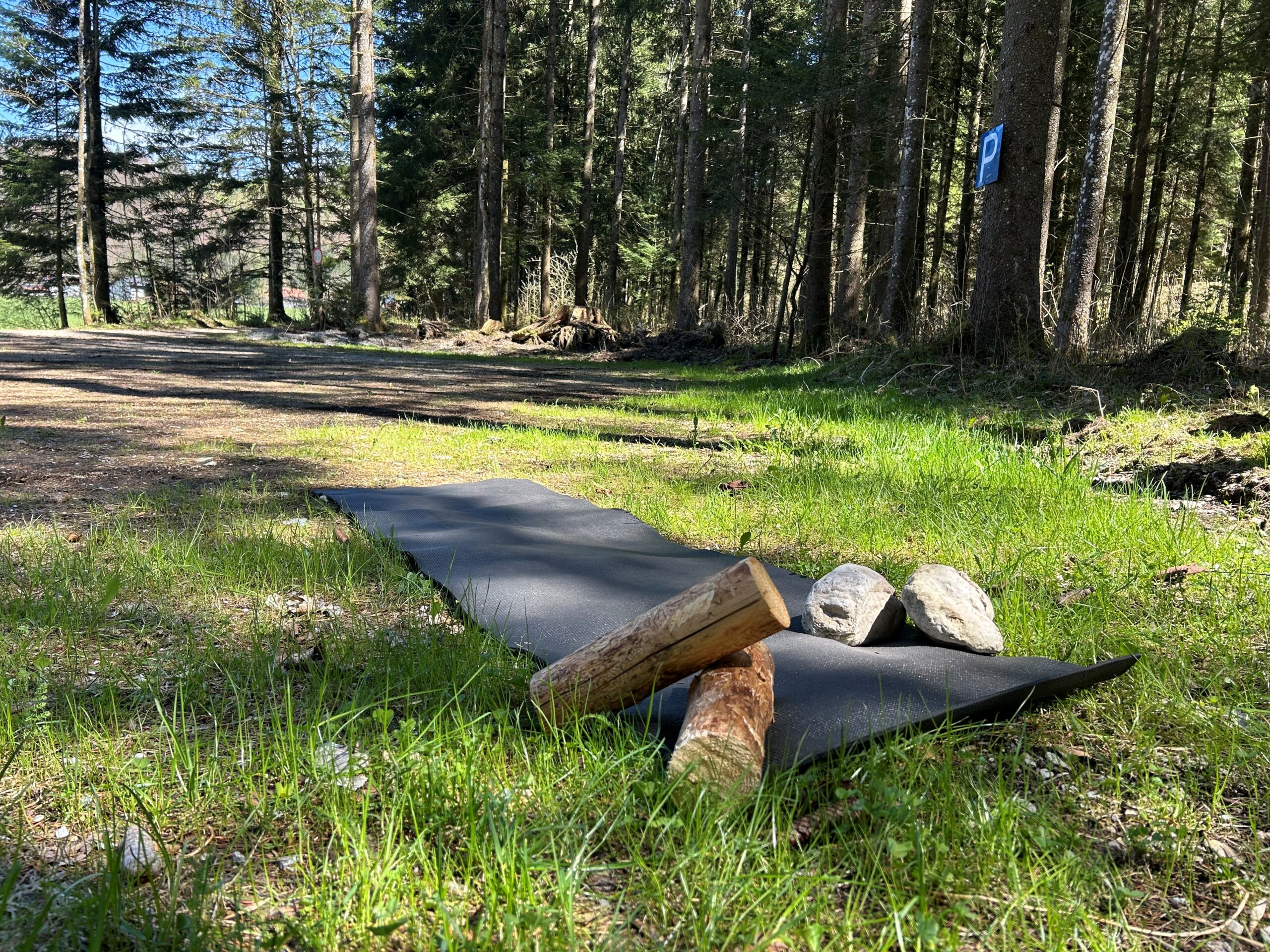 Eine schwarze Yogamatte mit Stämmen und Steinen auf Gras in einem sonnenbeschienenen Wald, in der Tiefbrunnau in Faistenau. © Bewegung im Einklang