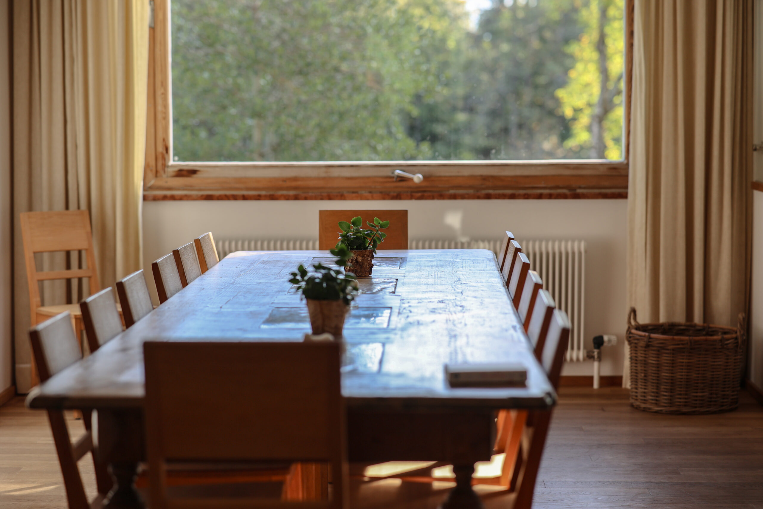 Ein Esstisch aus Holz mit St&uuml;hlen, Topfpflanzen und einem gro&szlig;en Fenster, durch das man im Hintergrund die gr&uuml;ne Landschaft sehen kann.