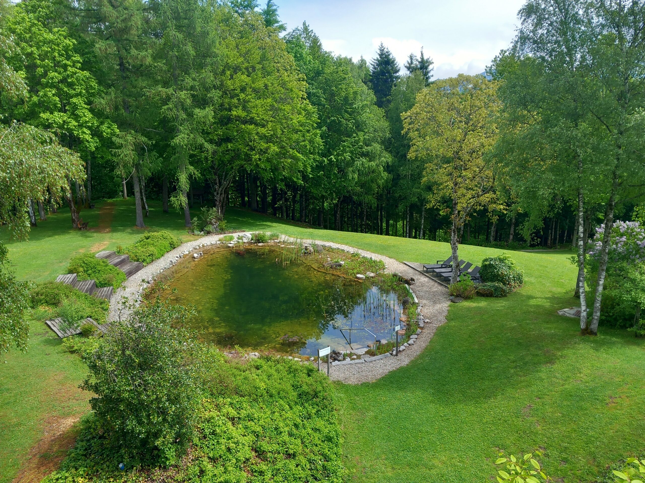 Ein kleiner, runder Teich, umgeben von &uuml;ppigem gr&uuml;nem Gras und B&auml;umen, mit B&auml;nken und einem Steinweg in der N&auml;he.
