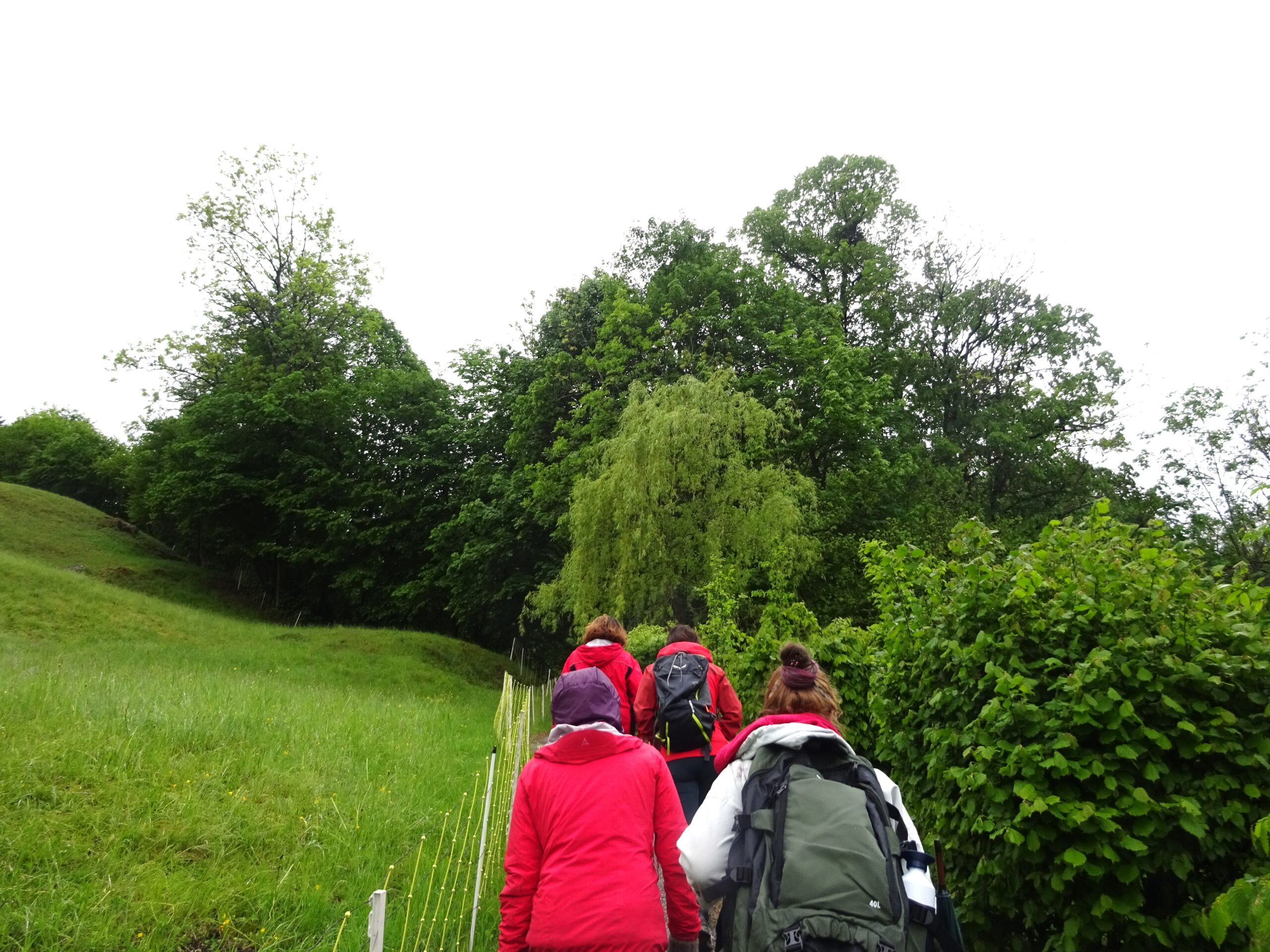 Menschen mit Rucks&auml;cken und Jacken wandern unter bew&ouml;lktem Himmel auf einem gr&uuml;nen Weg, der von B&auml;umen und Str&auml;uchern ges&auml;umt ist.