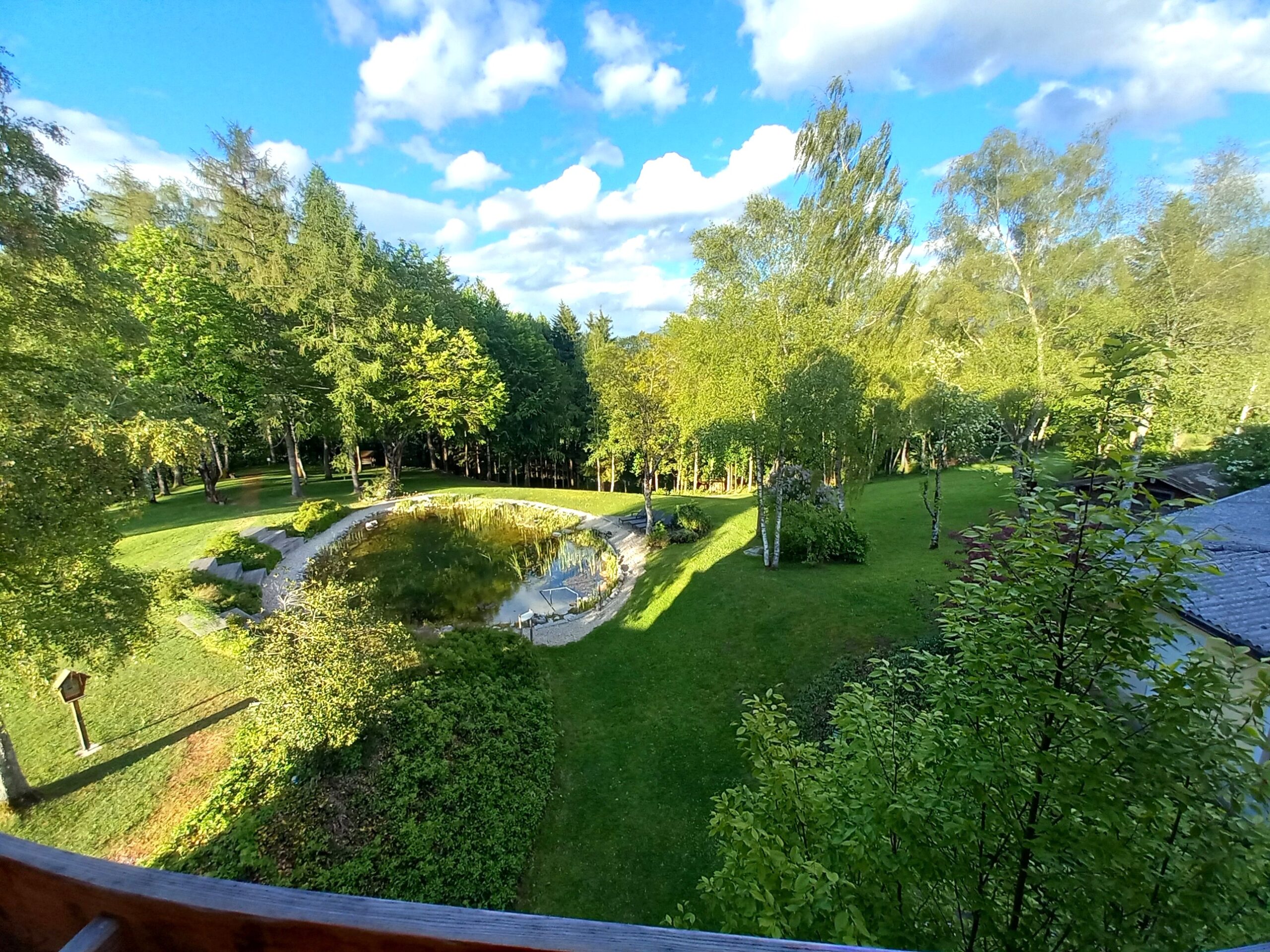 Blick auf einen &uuml;ppig gr&uuml;nen Garten mit B&auml;umen, einem kleinen Teich und einem strahlend blauen Himmel mit vereinzelten Wolken.