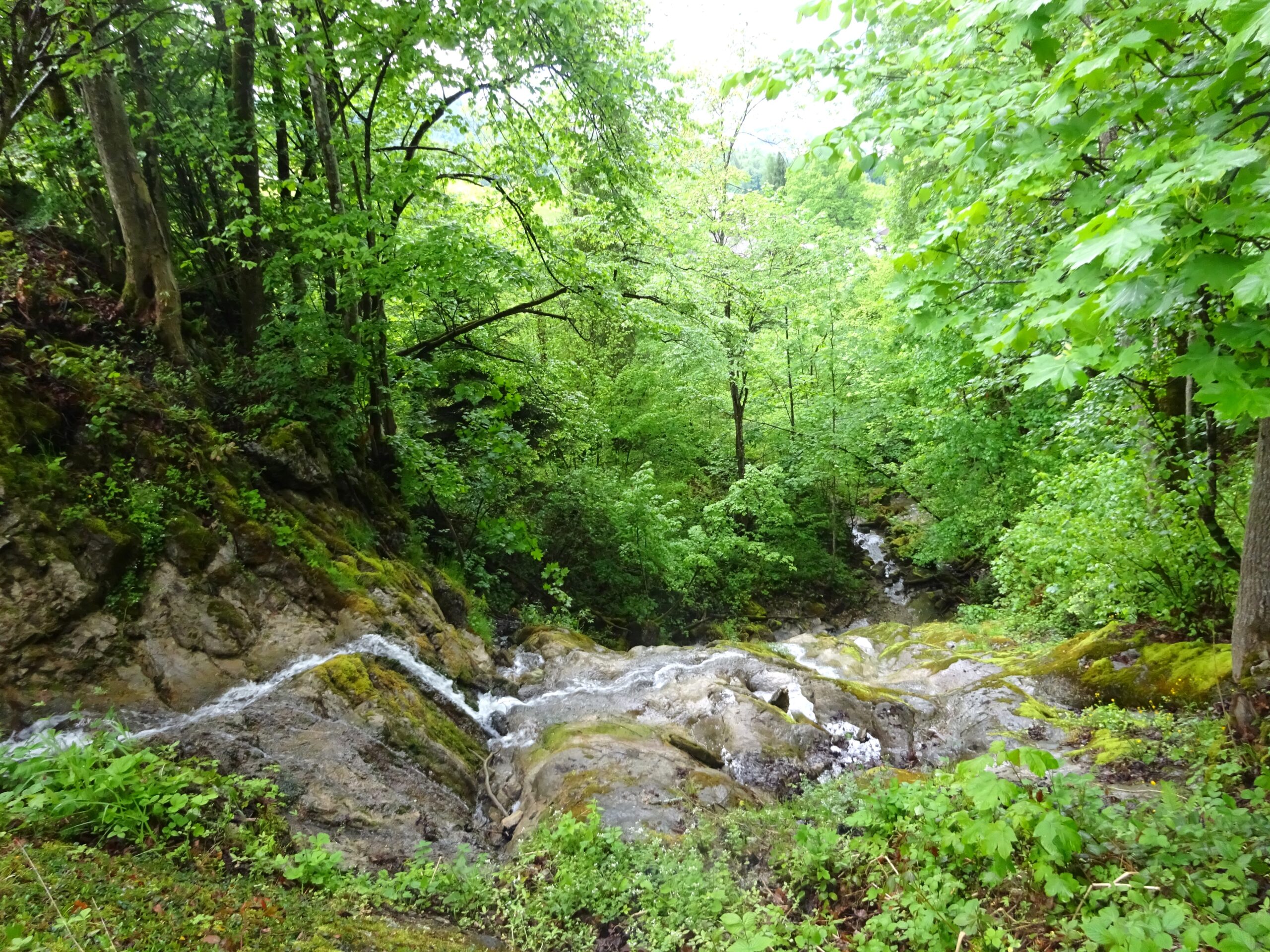 Ein kleiner Wasserfall flie&szlig;t &uuml;ber Felsen, die von dichter, gr&uuml;ner Waldvegetation umgeben sind.