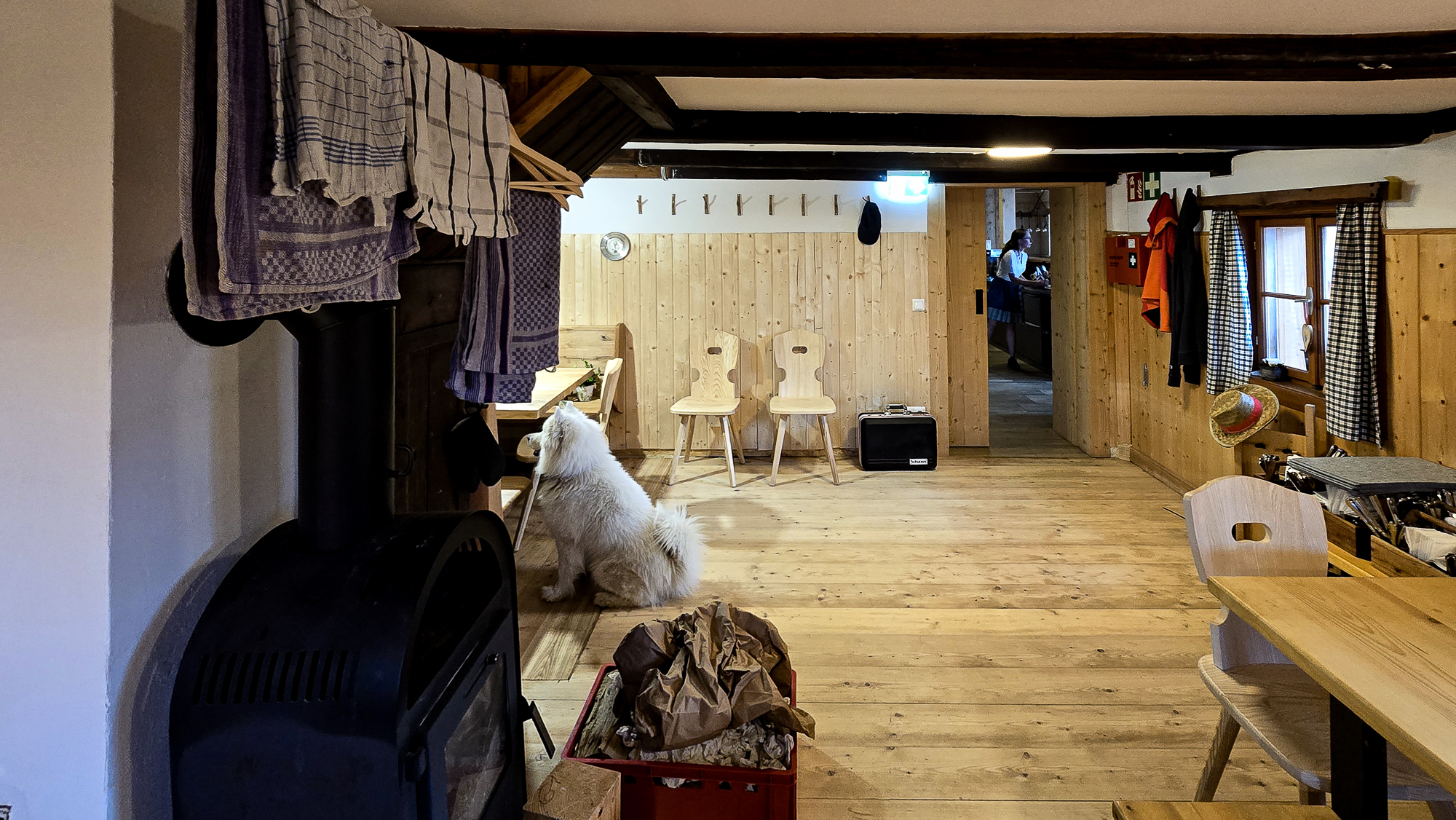 Ein gro&szlig;er, flauschiger, wei&szlig;er Hund sitzt neben einem Ofen in der gem&uuml;tlichen Bleckwandh&uuml;tte aus Holz, in der Tische, St&uuml;hle und aufgeh&auml;ngte Handt&uuml;cher zu sehen sind.
