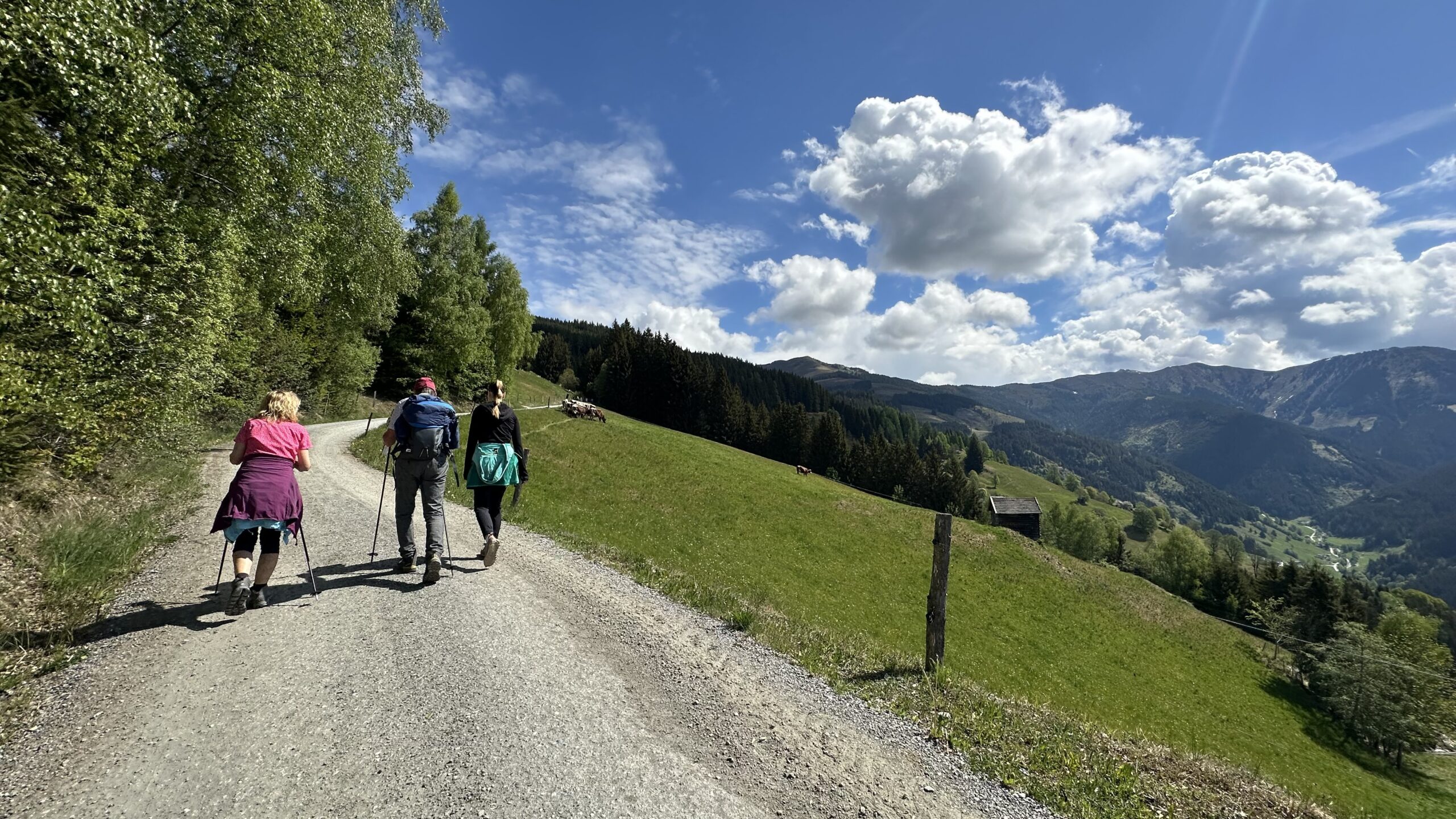 Vier Menschen wandern auf einem Schotterweg an der Schwalbenwand durch eine grüne, hügelige Landschaft unter einem strahlend bewölkten Himmel.