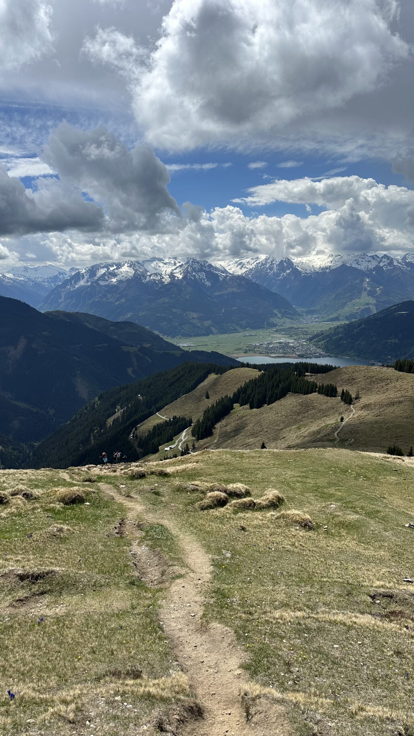 Ein Bergpfad, der unter bewölktem Himmel zu den schneebedeckten Gipfeln der Schwalbenwand in der Ferne führt.