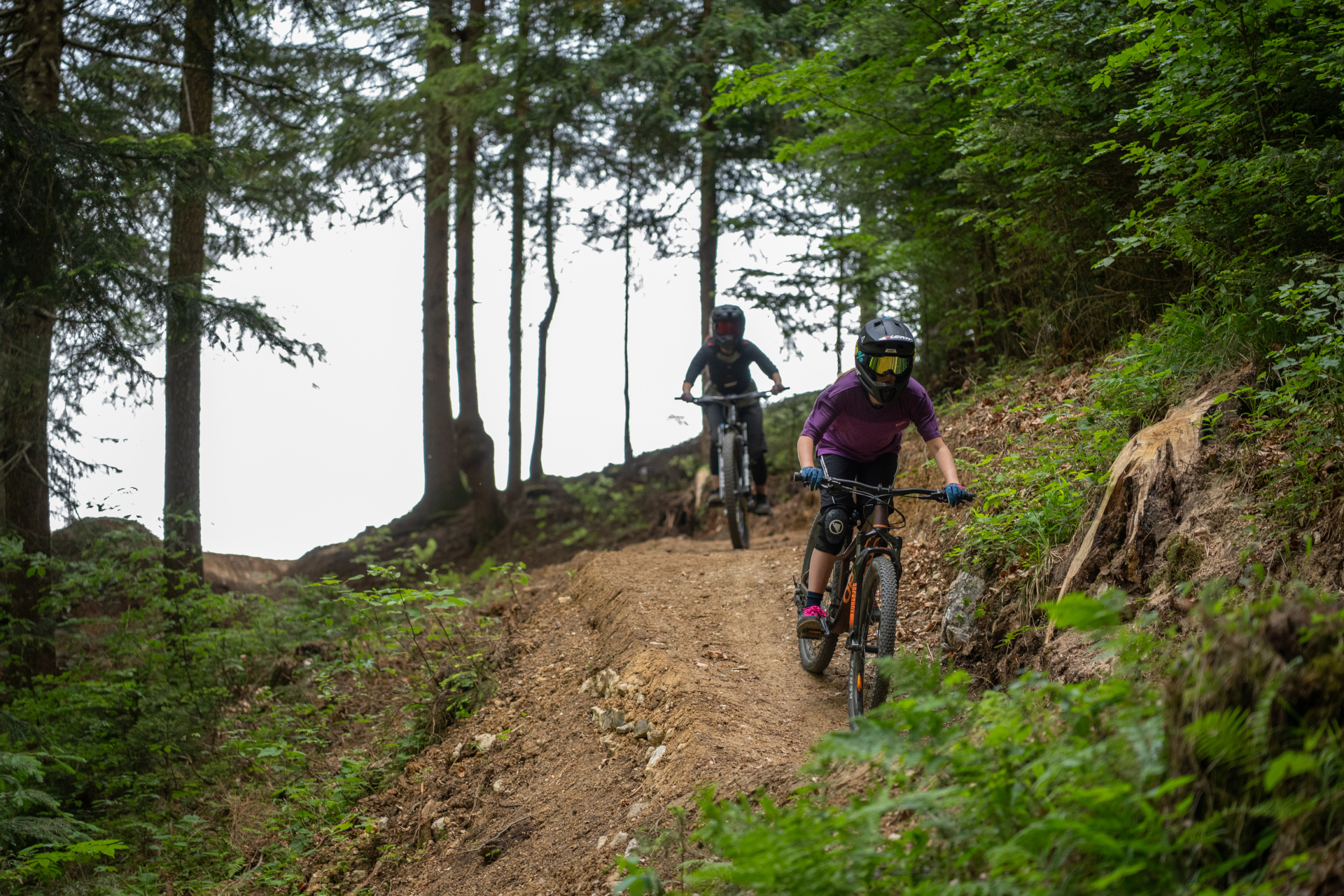 Zwei Mountainbiker mit Helmen fahren einen von Bäumen und grünem Laub gesäumten Feldweg hinunter.