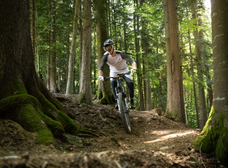 Ein Mountainbiker fährt einen Feldweg hinunter durch einen sonnendurchfluteten, grünen Wald, der von hohen Bäumen umgeben ist.