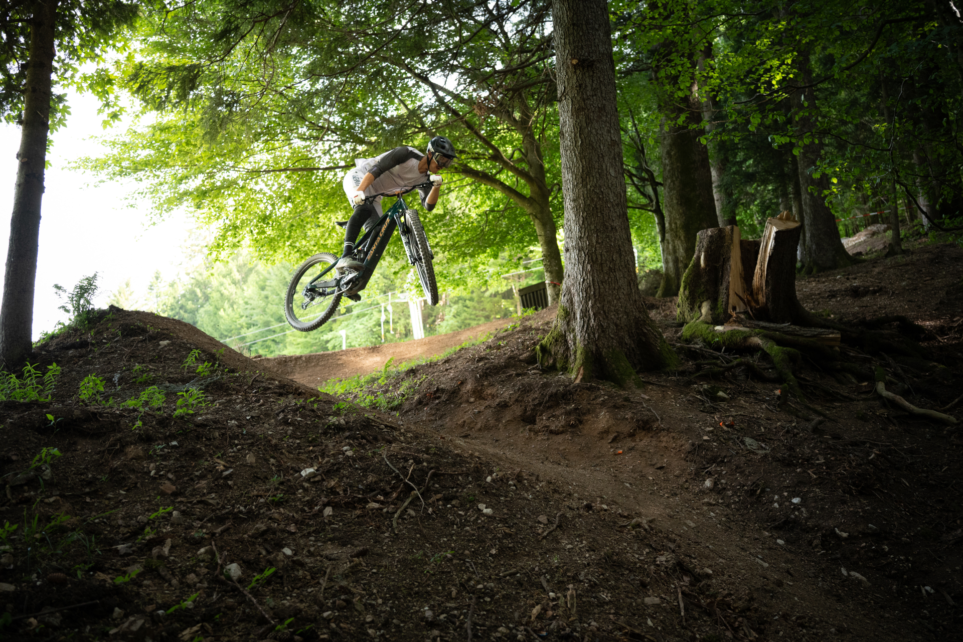 Ein Mountainbiker springt von einem Feldweg ab, der von Bäumen in einer Waldlandschaft umgeben ist.