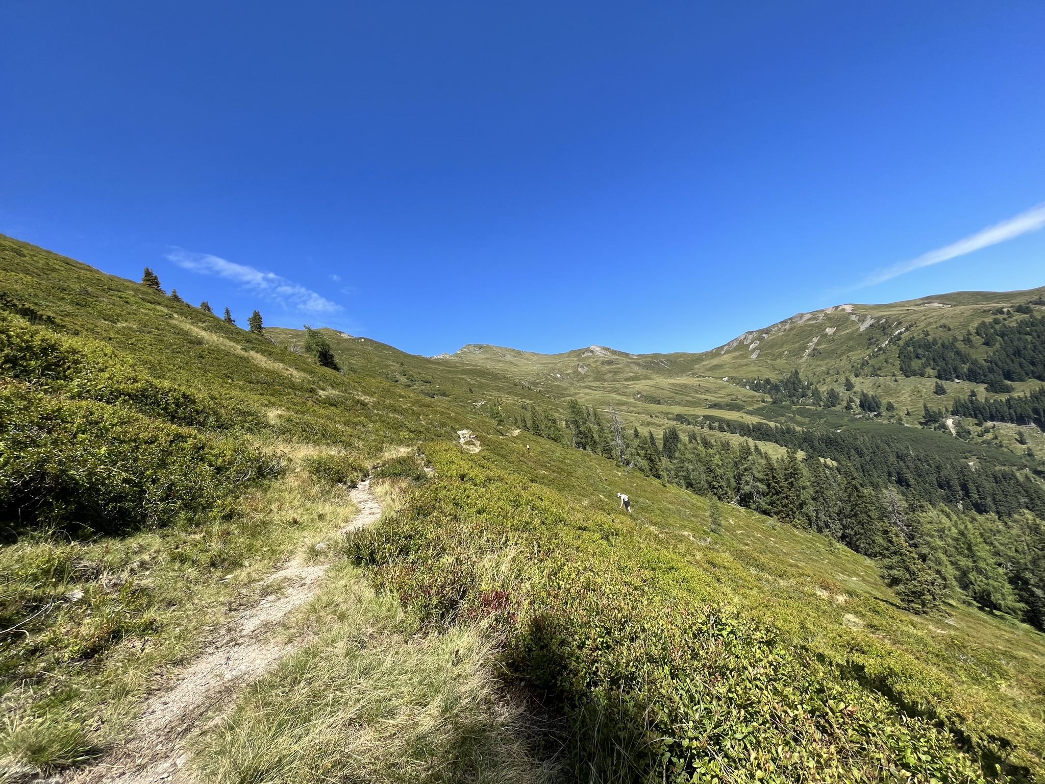 Sonnige Berglandschaft mit grünen Hügeln, einem schmalen Feldweg und einem strahlend blauen Himmel darüber.