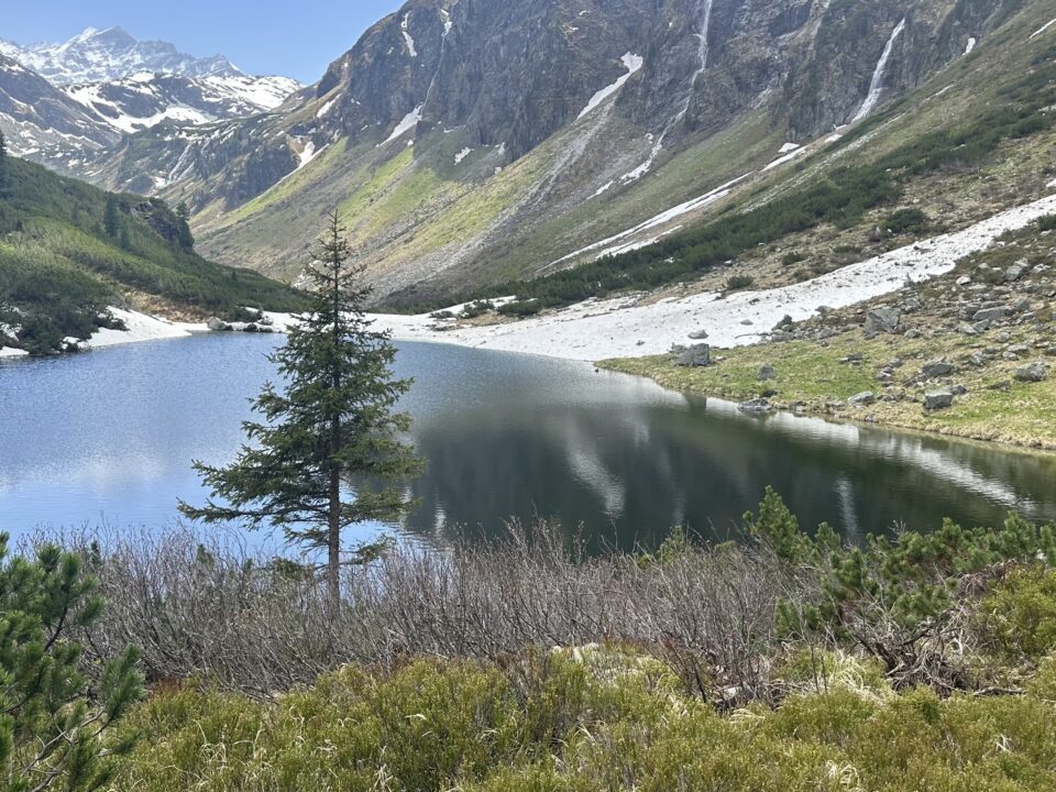 Grünsee