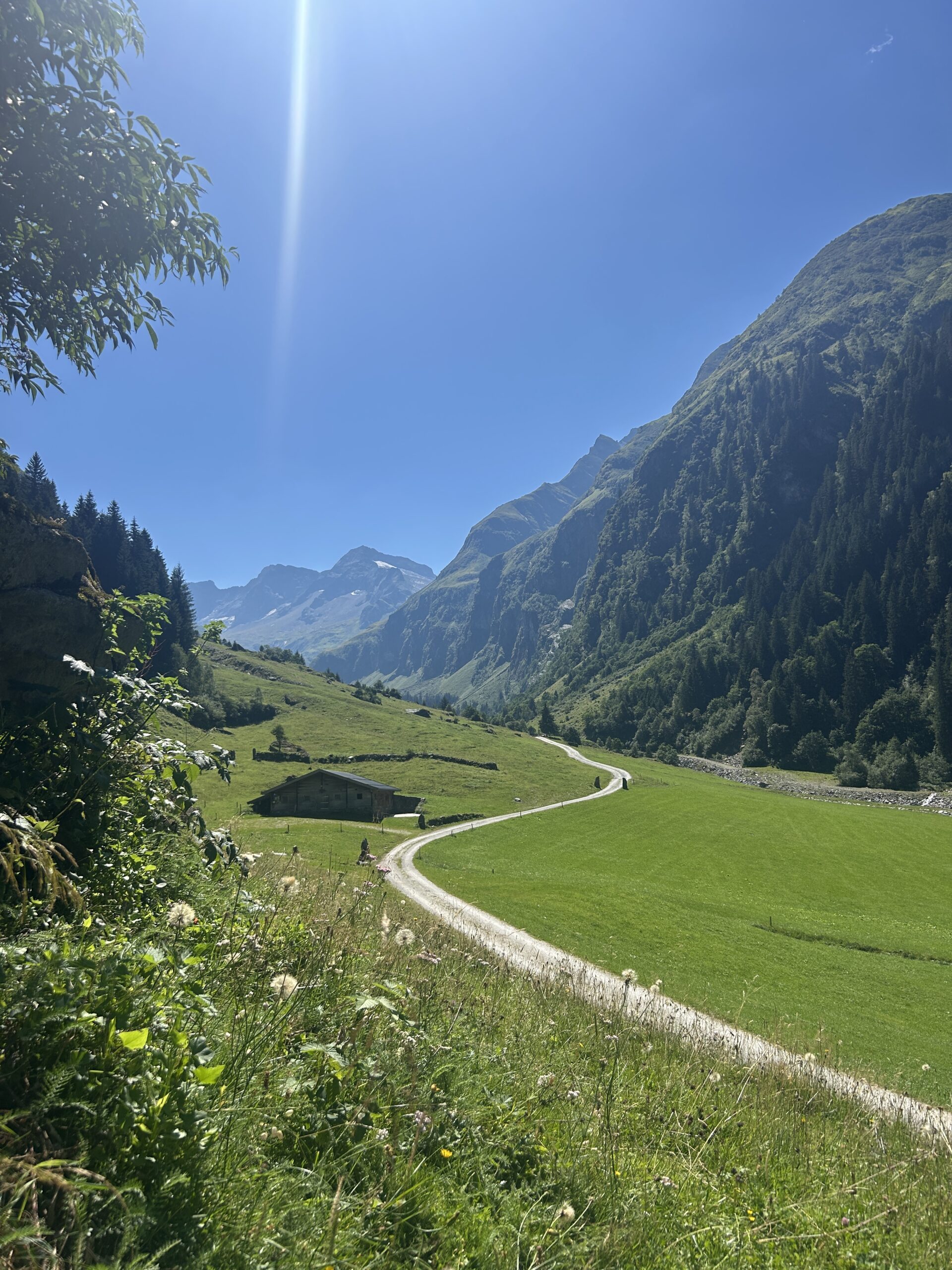 Ein gewundener Weg schl&auml;ngelt sich durch ein gr&uuml;nes Tal, im Hintergrund sind Berge und der blaue Himmel zu sehen, w&auml;hrend die Sonne hell scheint.