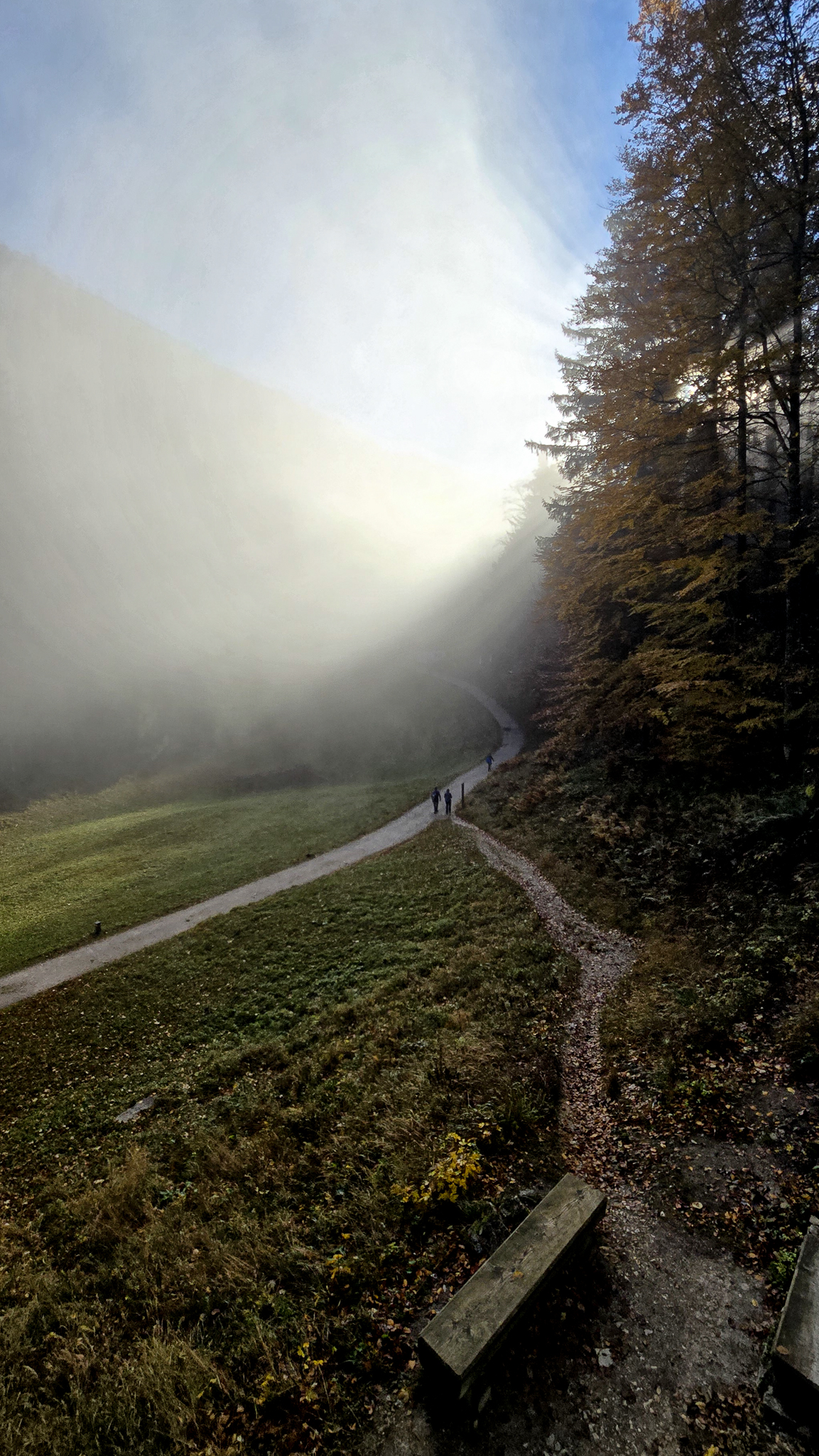 Ein nebliger Waldweg, auf dem vier Menschen spazieren gehen; Sonnenlicht f&auml;llt durch die B&auml;ume am Wolfgangi Kirtag, davor steht eine Bank.